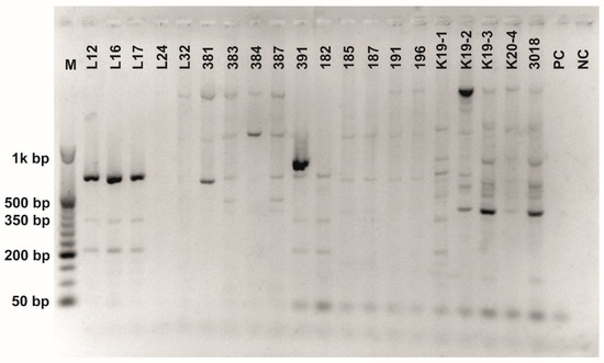Fermentation 08 00014 g0a7 550