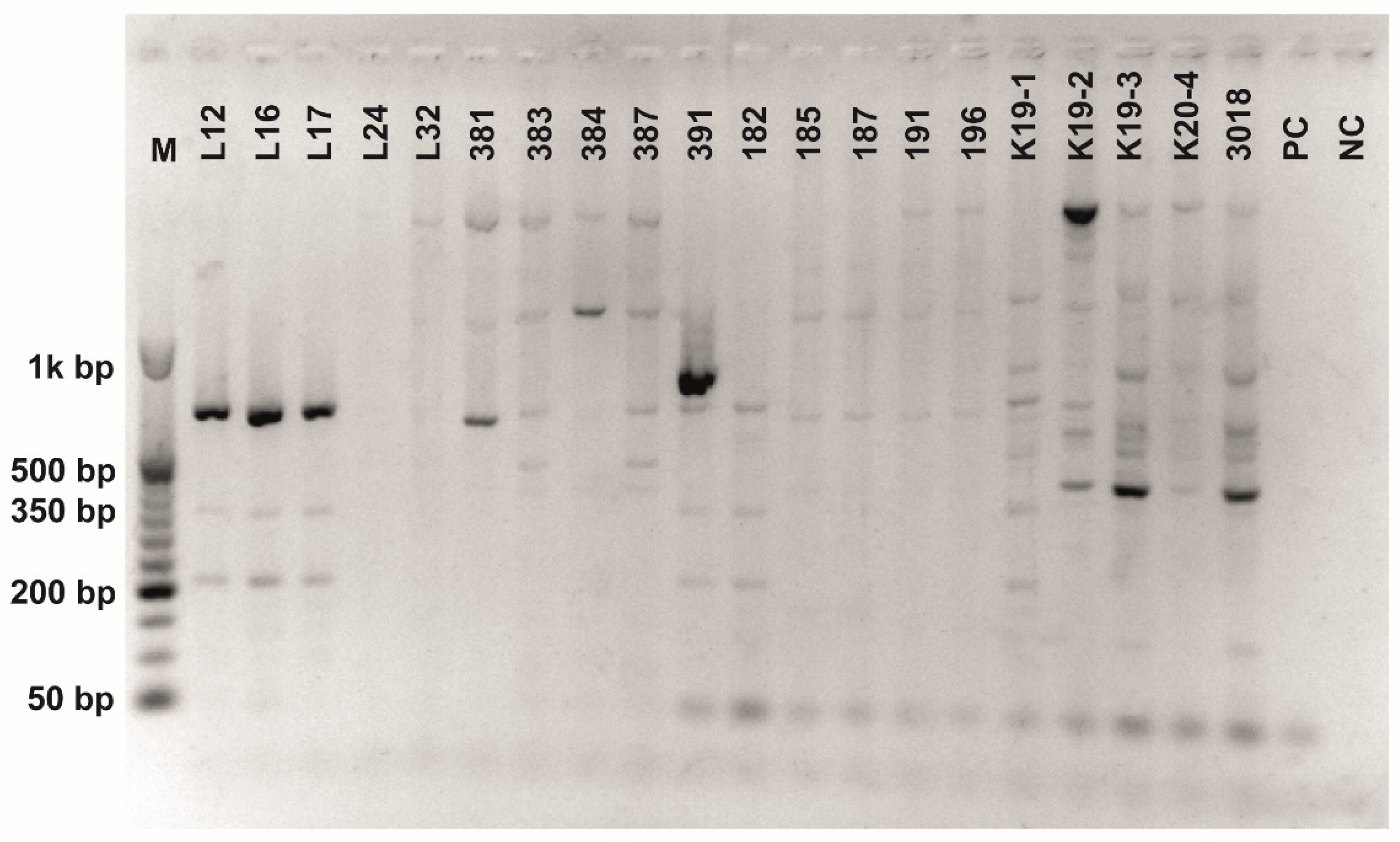 Fermentation 08 00014 g0a7