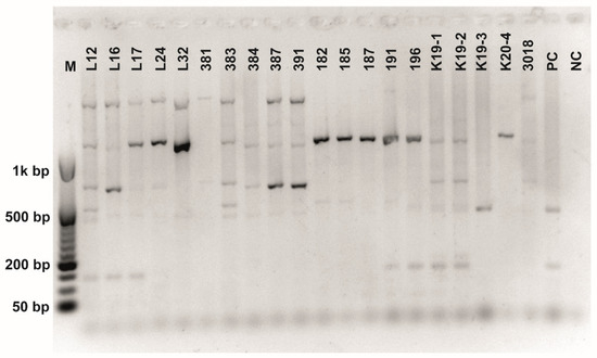 Fermentation 08 00014 g0a8 550