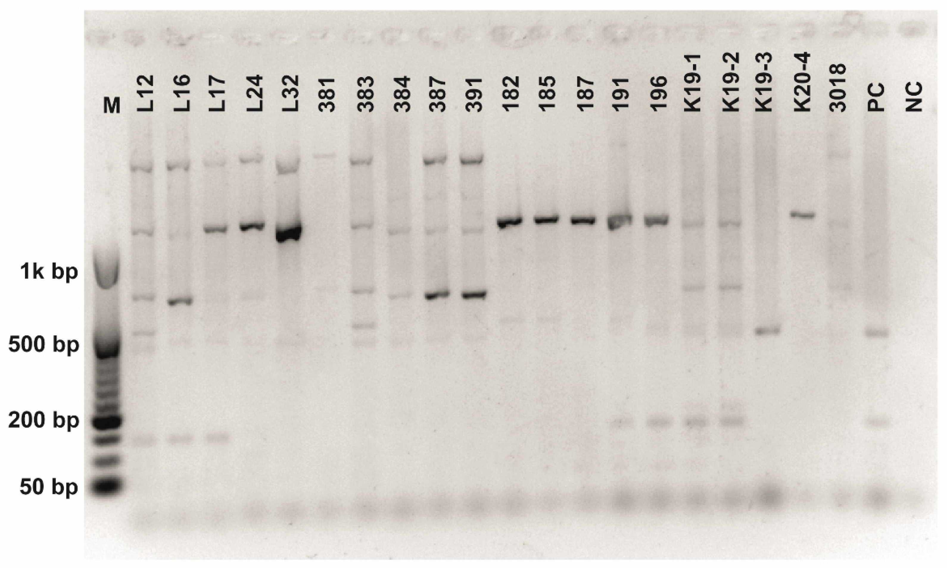 Fermentation 08 00014 g0a8