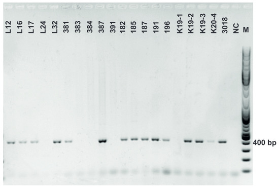 Fermentation 08 00014 g0a9 550