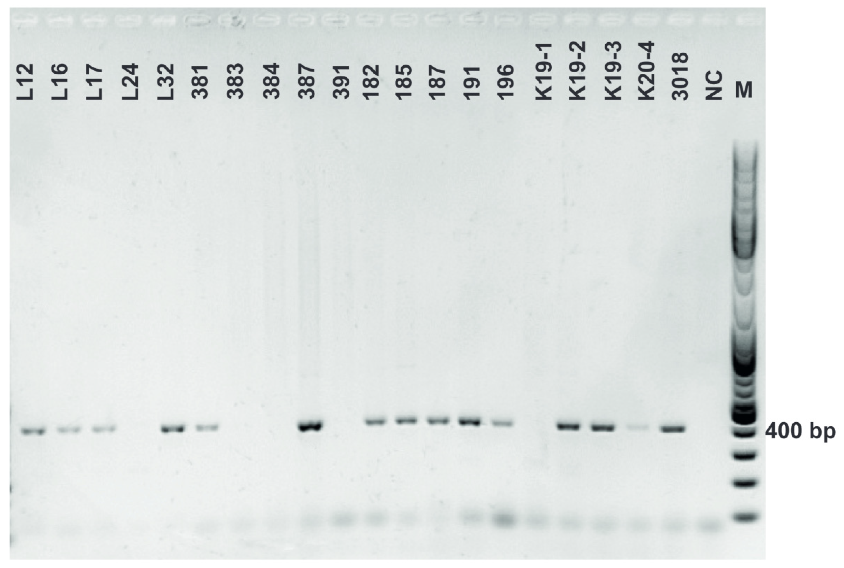 Fermentation 08 00014 g0a9