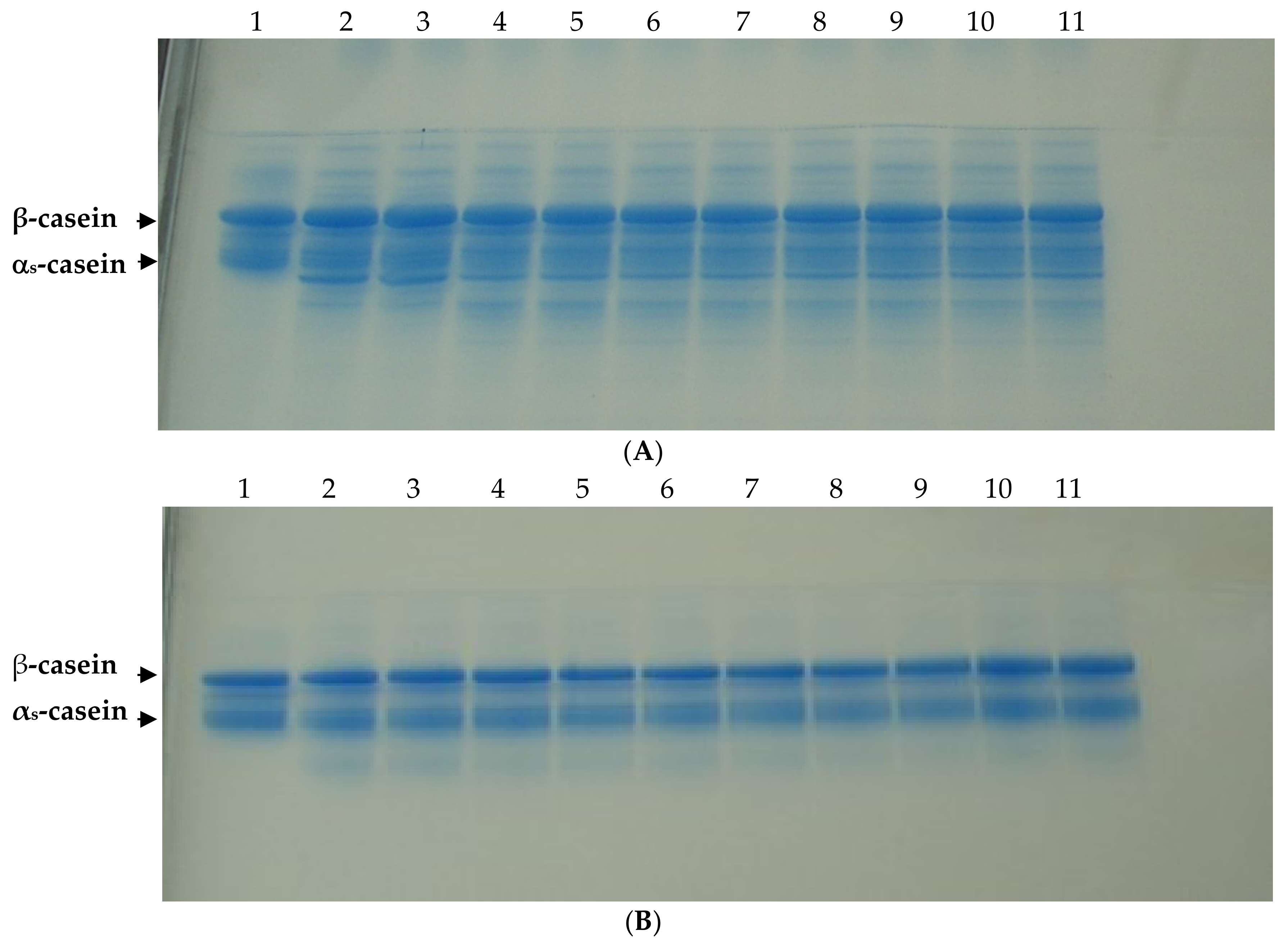 Fermentation 08 00020 g001