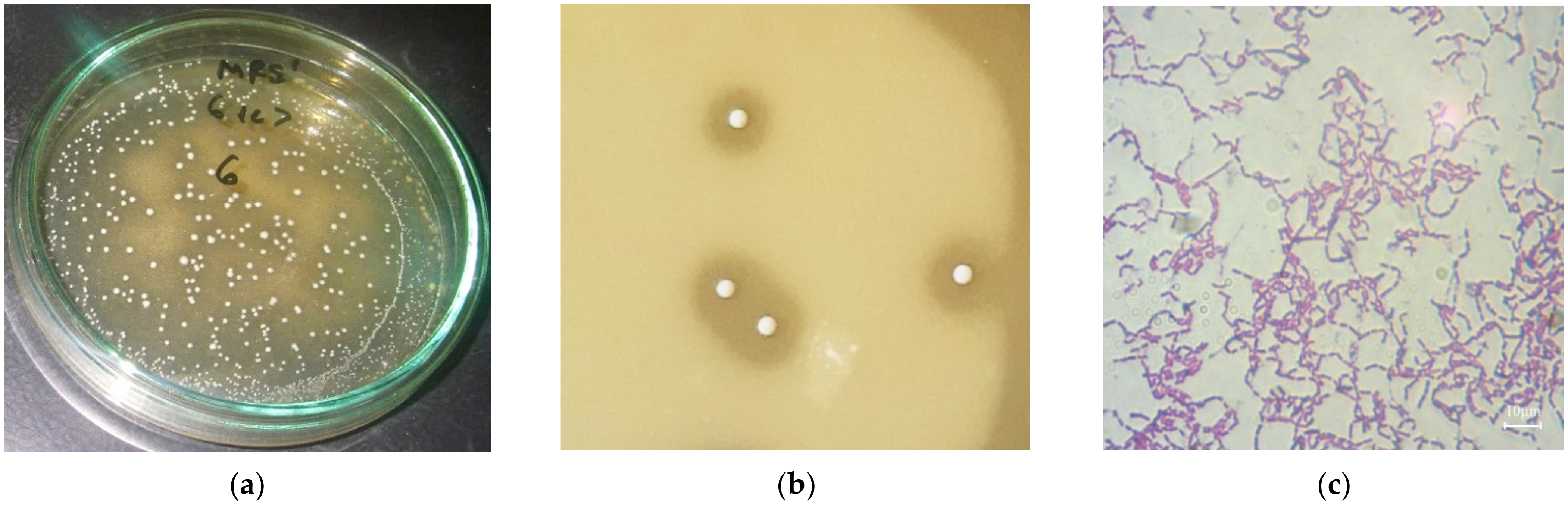 Fermentation 08 00031 g001 Fermentation 08 00031 g001