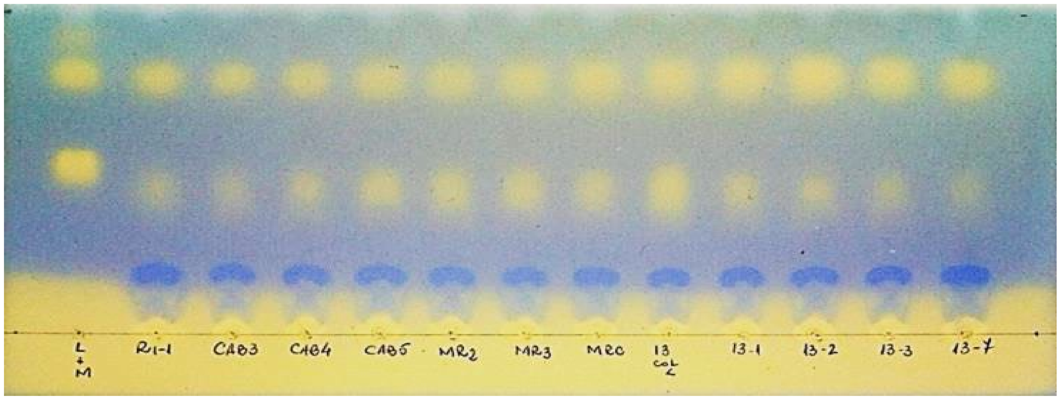 Fermentation 08 00031 g002 Fermentation 08 00031 g002
