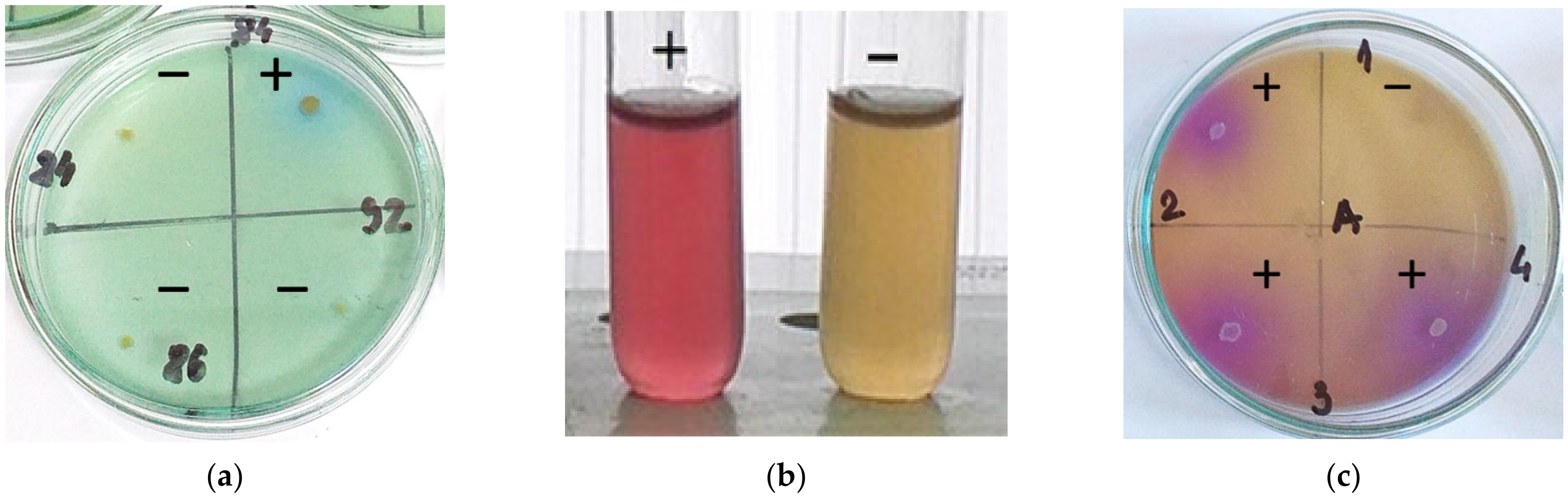 Fermentation 08 00031 g006 Fermentation 08 00031 g006