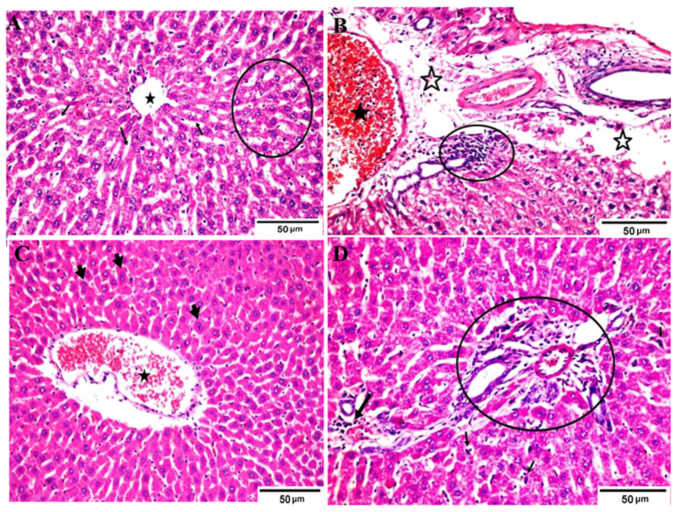 Fermentation 08 00041 g002