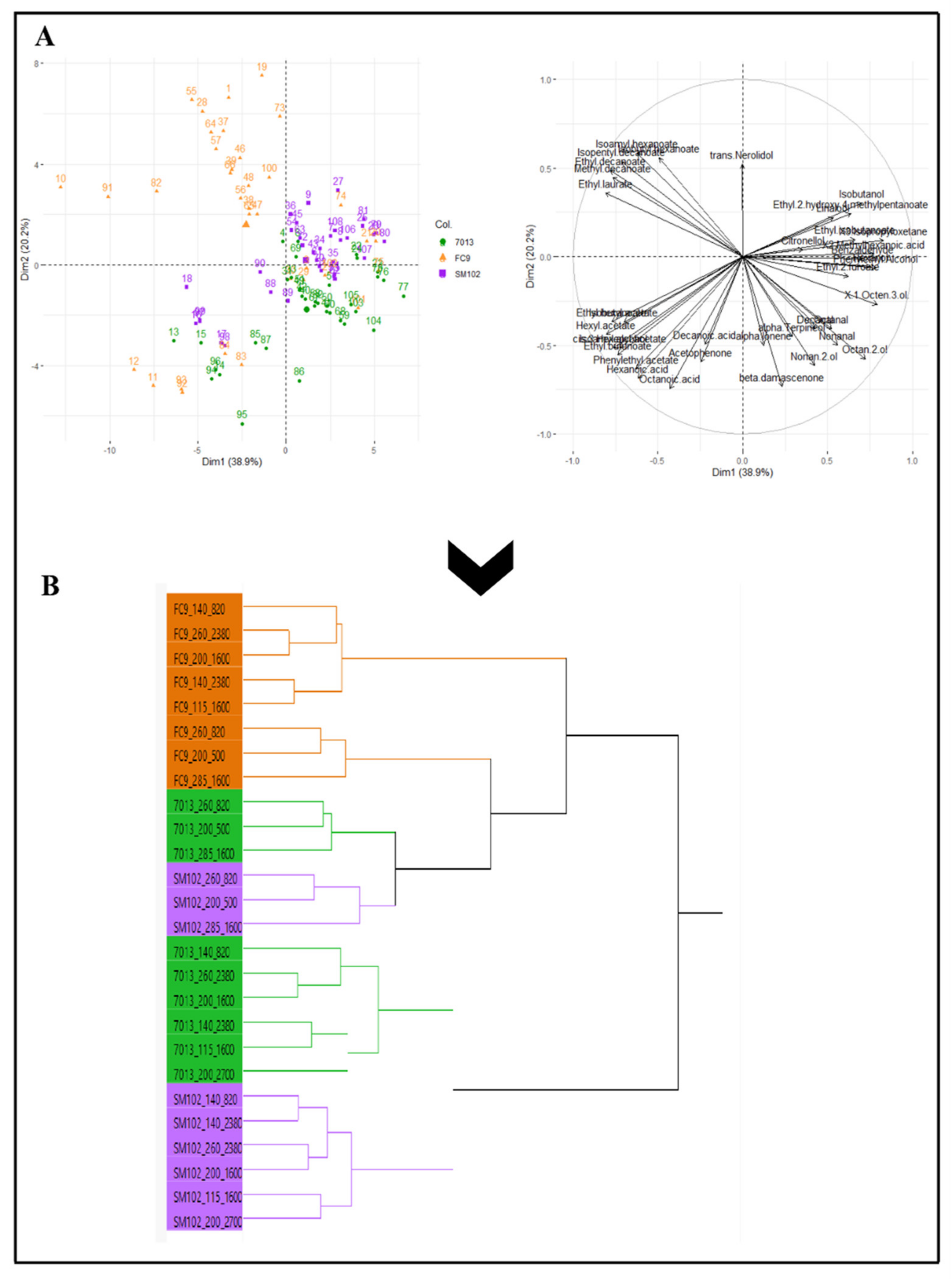 Fermentation 08 00051 g004