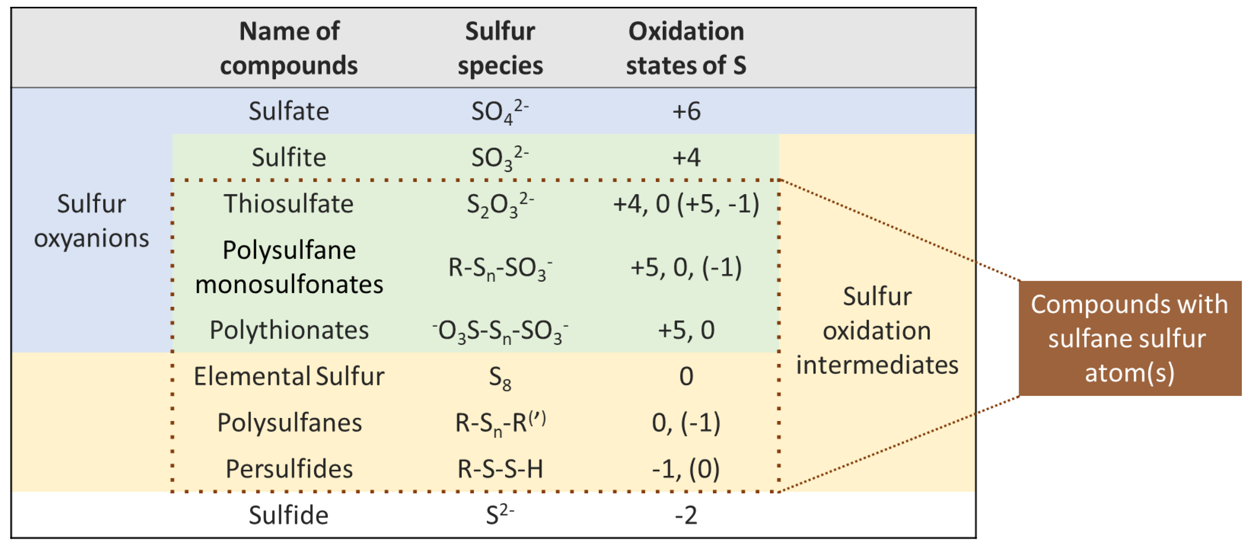 Fermentation 08 00053 g001