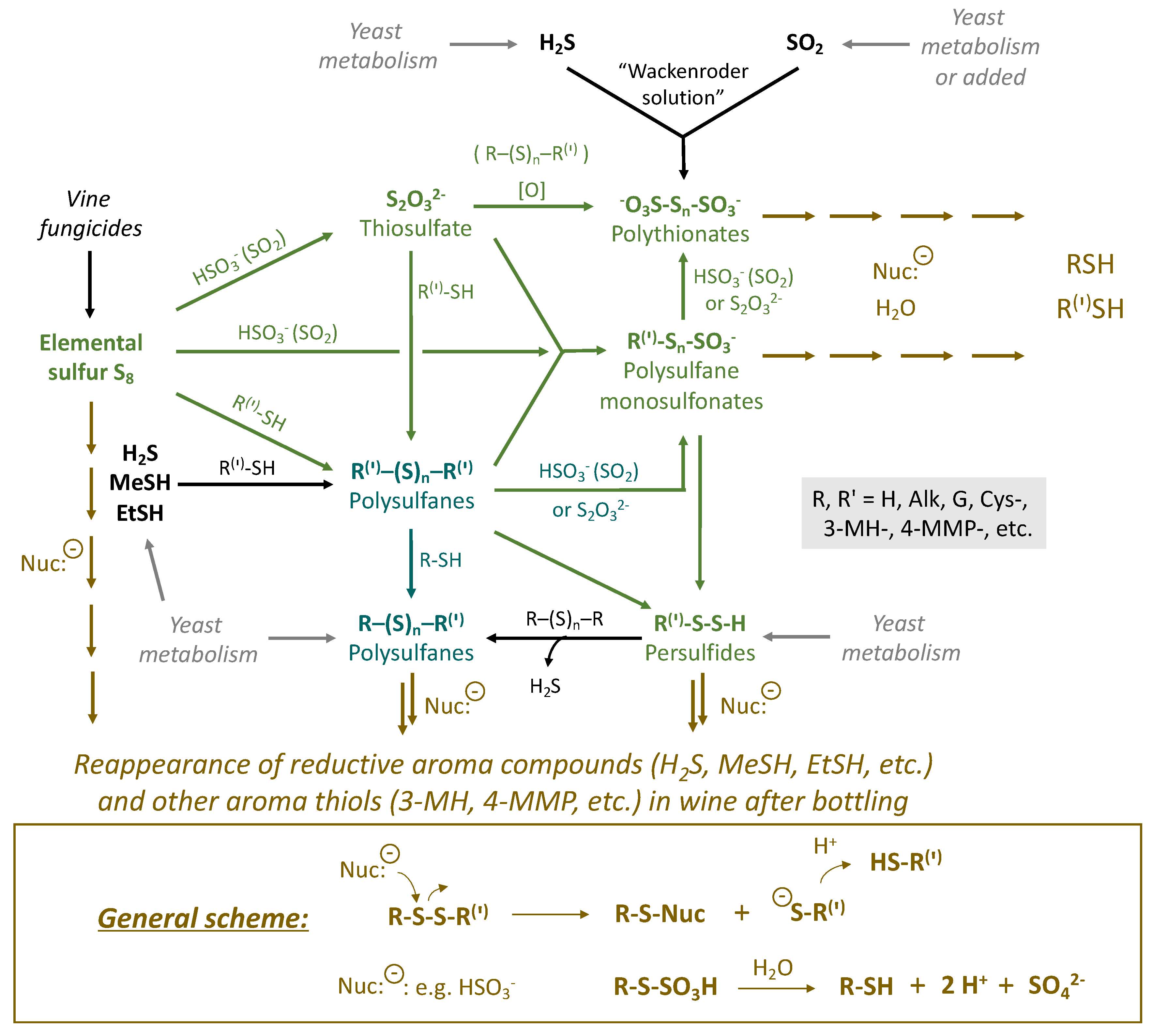 Fermentation 08 00053 g002