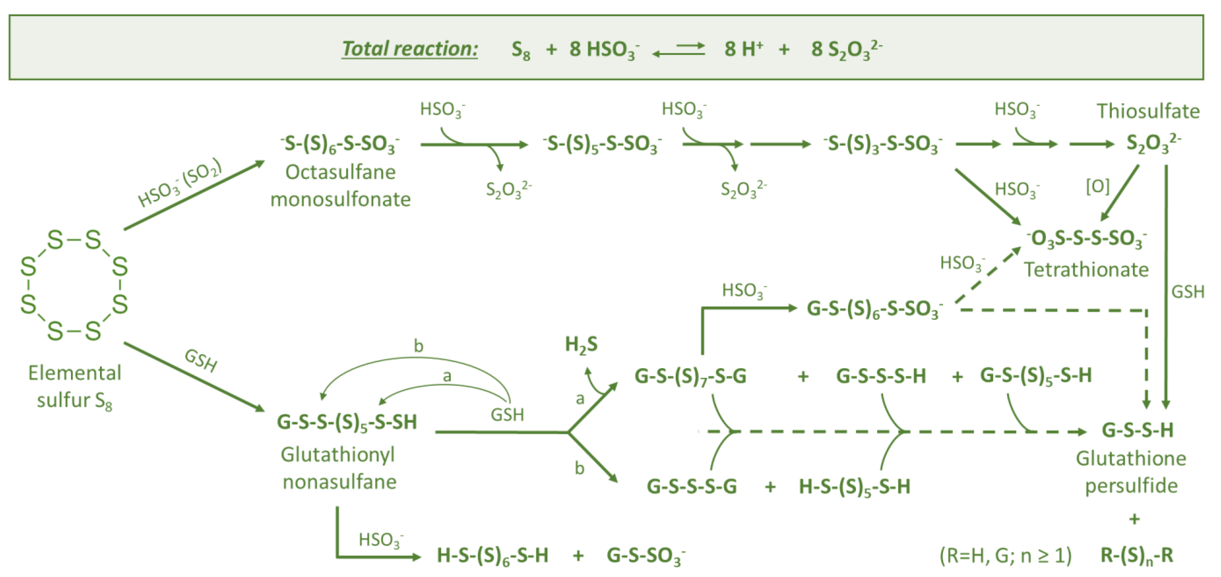 Fermentation 08 00053 g003