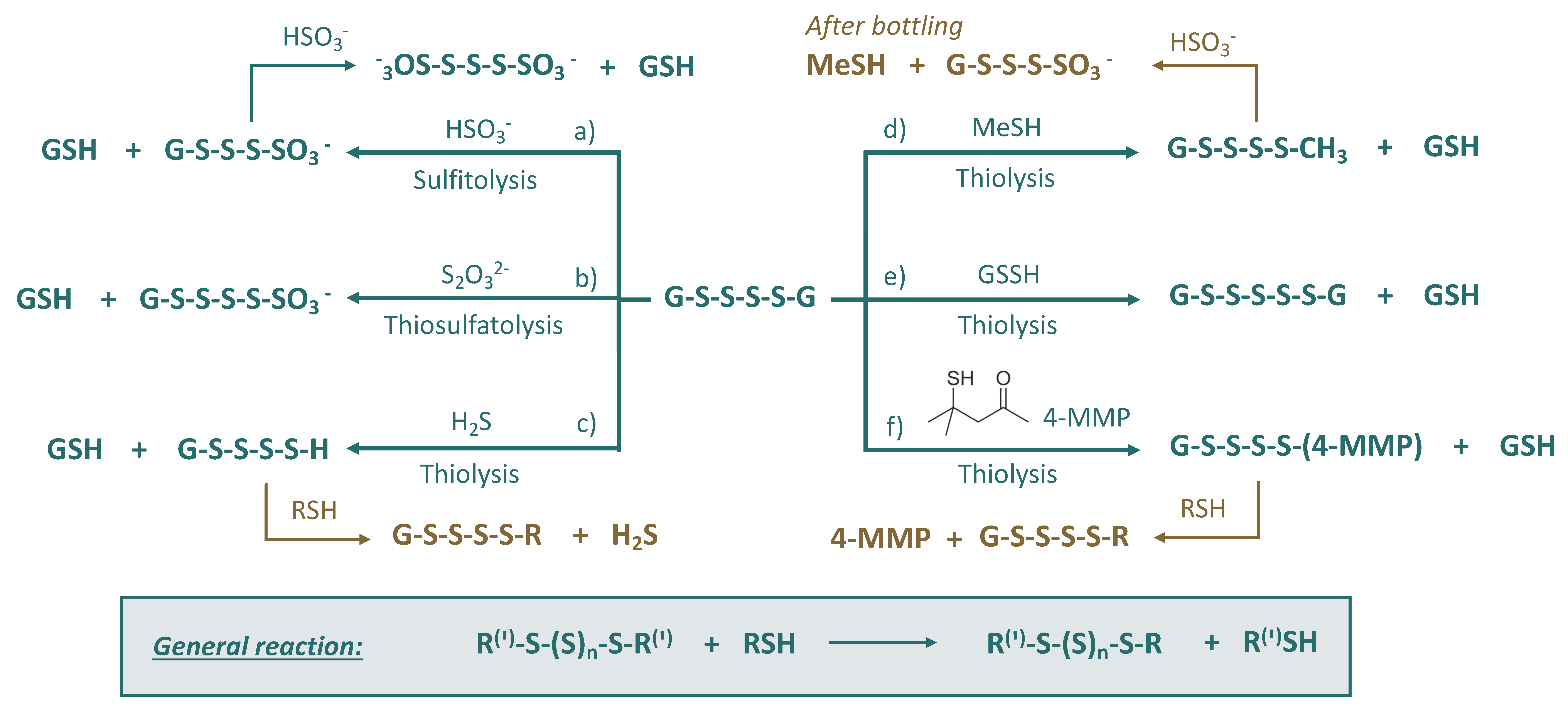 Fermentation 08 00053 g005
