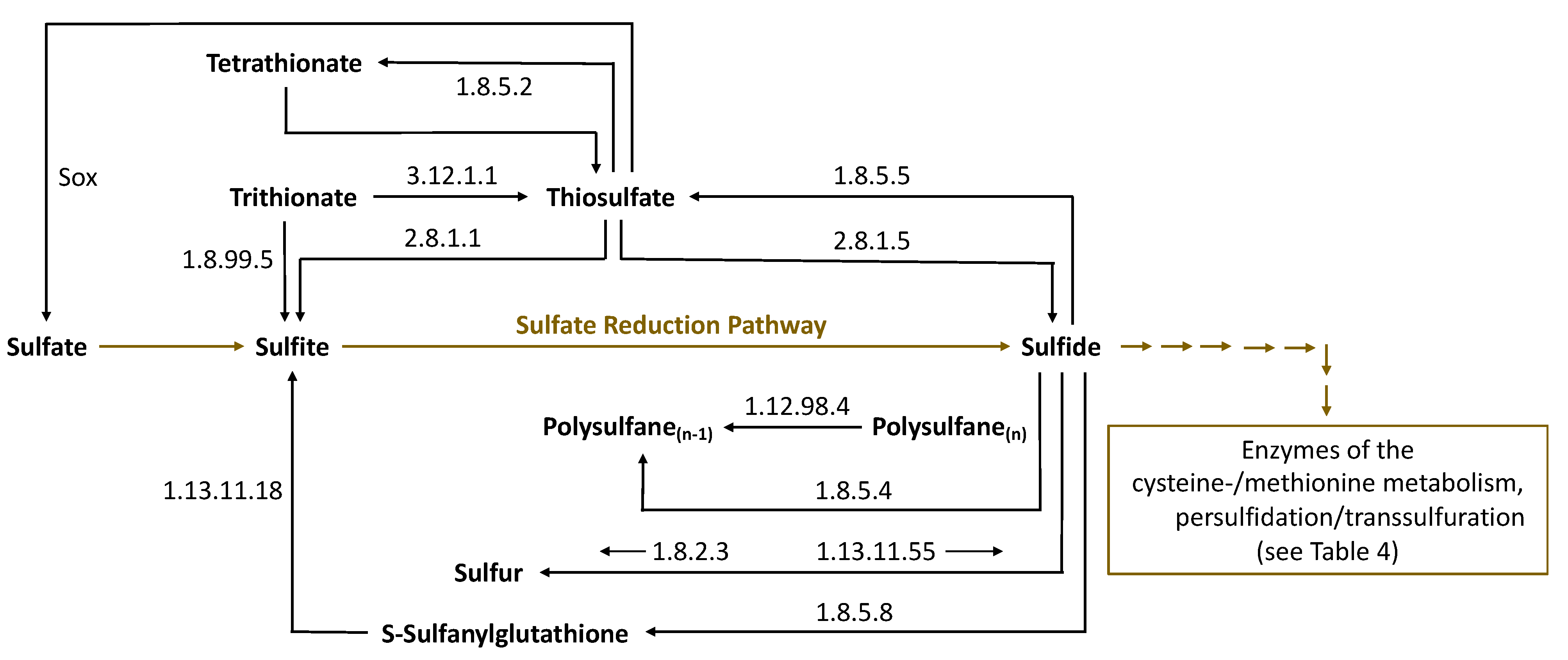 Fermentation 08 00053 g006