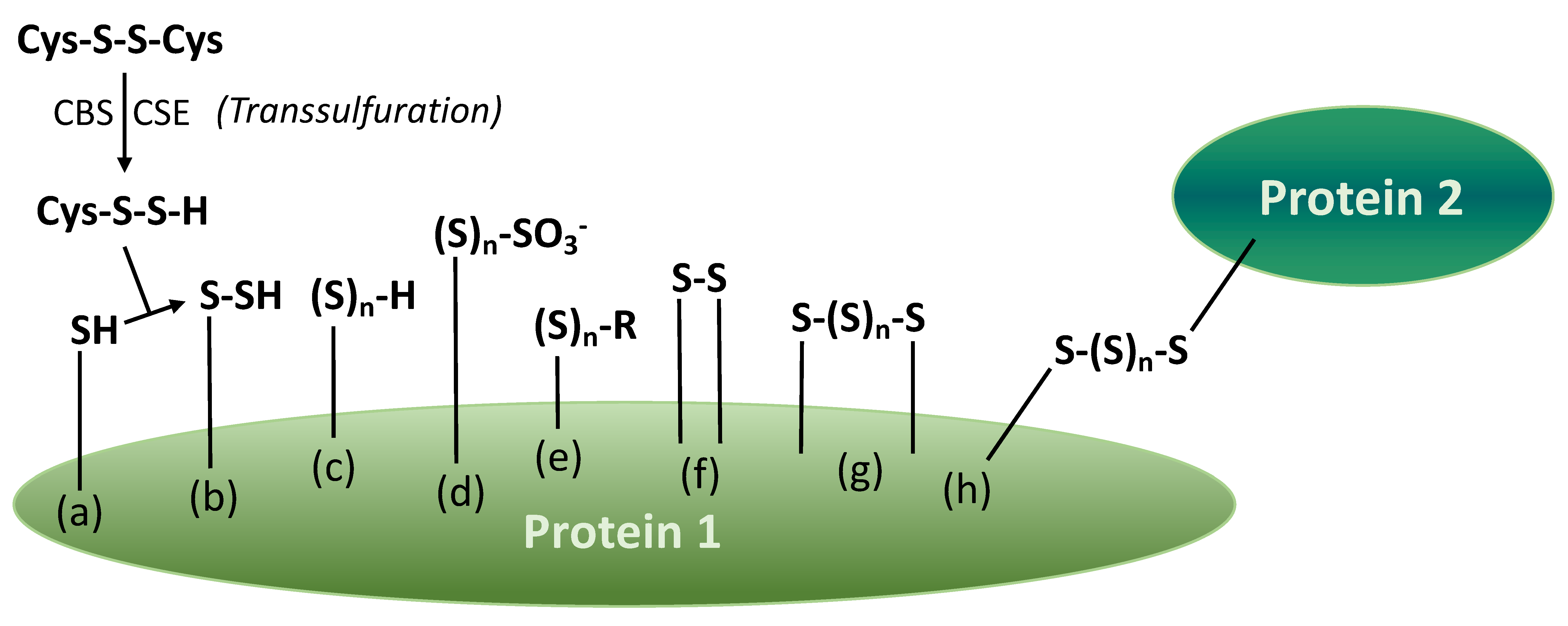Fermentation 08 00053 g007