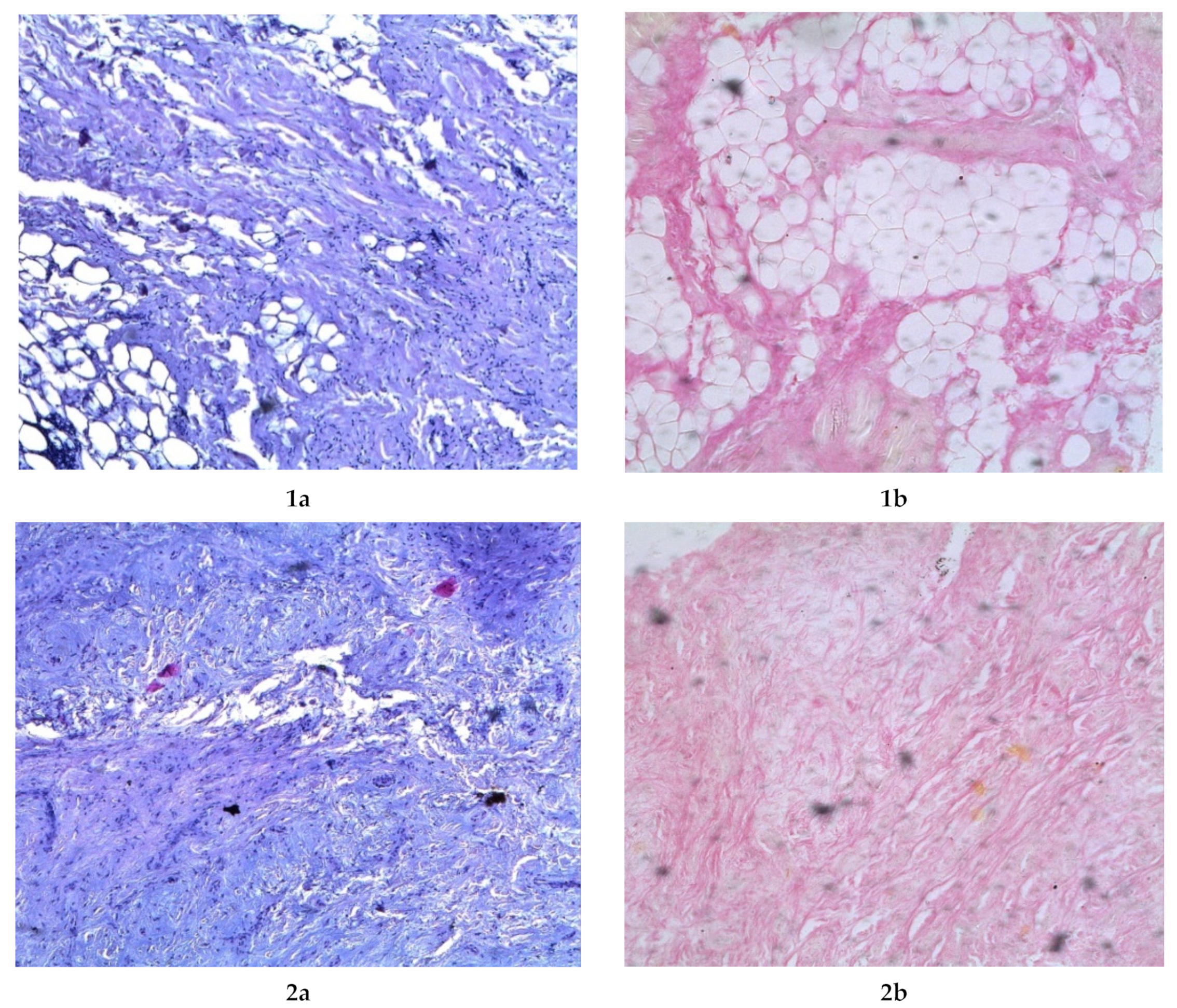 Fermentation 08 00056 g006a