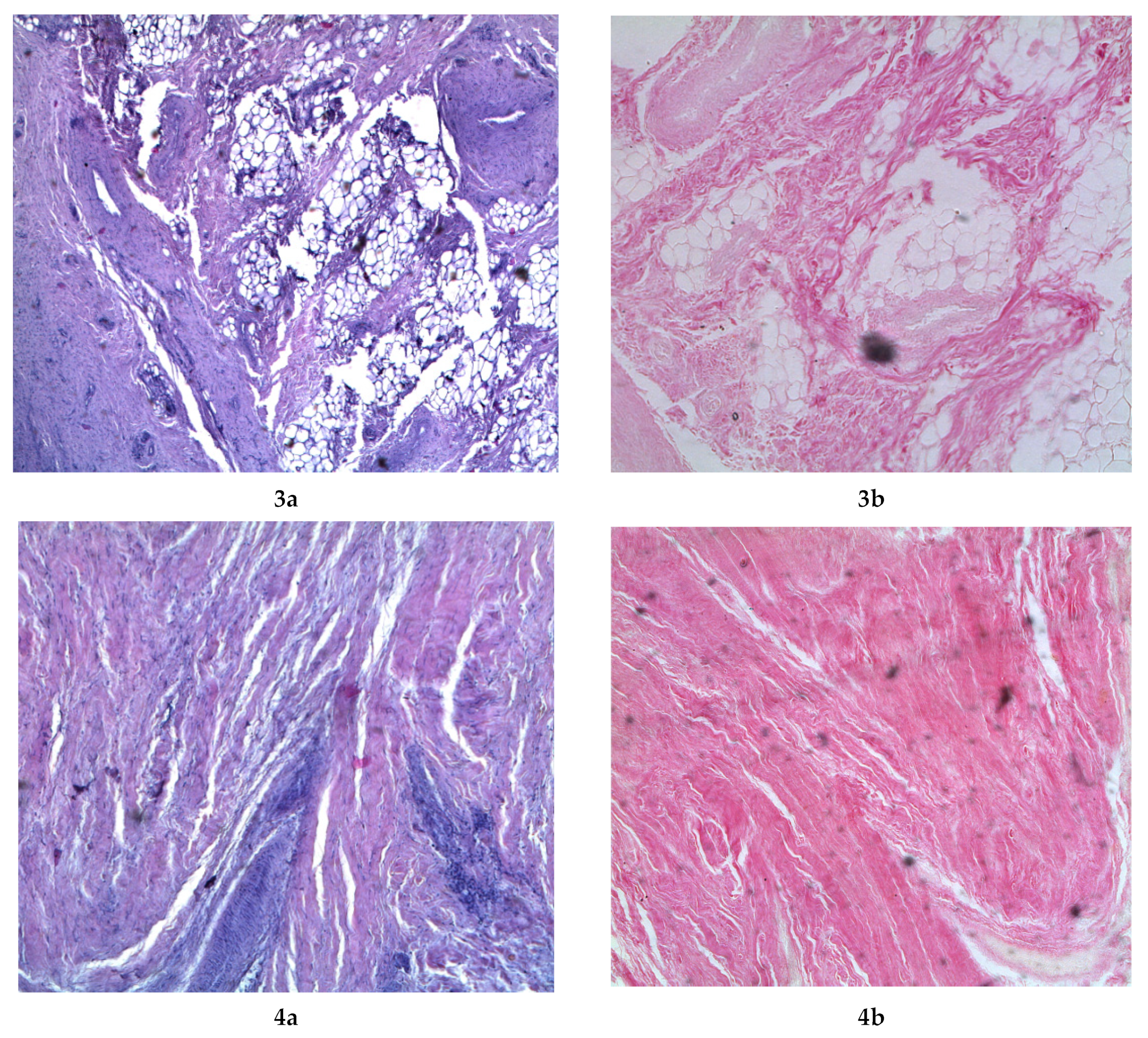 Fermentation 08 00056 g006b