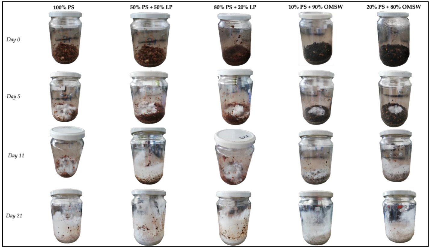 Fermentation 08 00059 g001