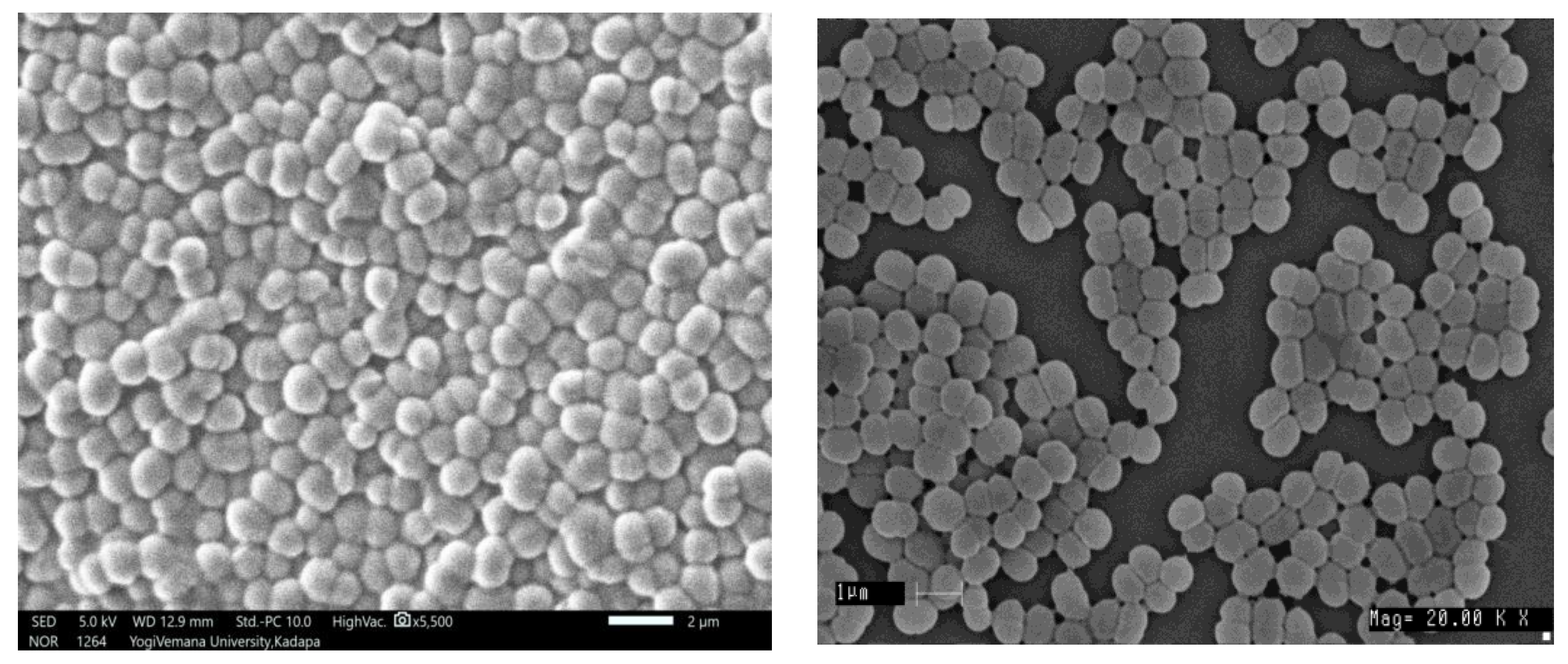 Fermentation 08 00061 g001 Fermentation 08 00061 g001