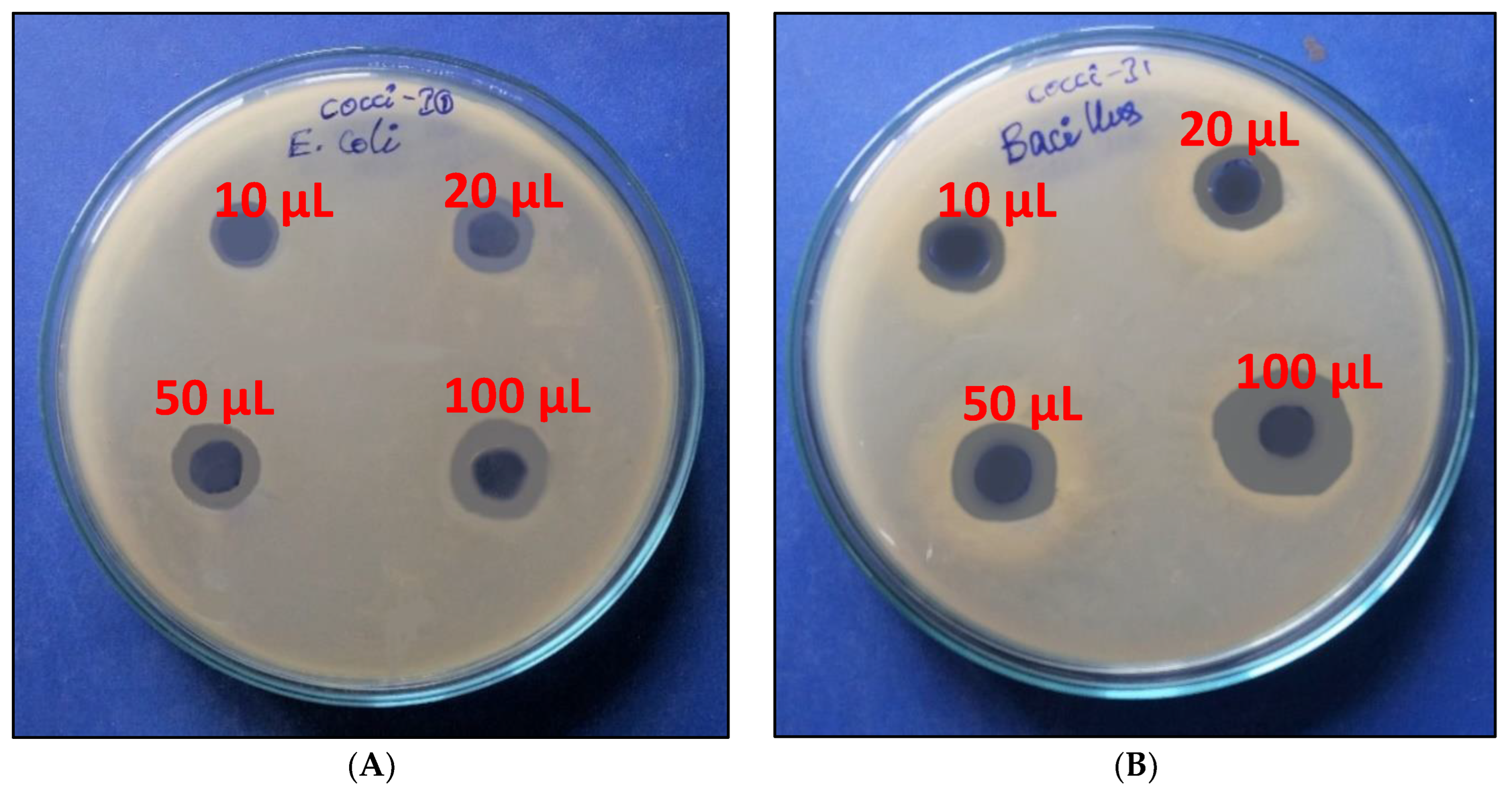 Fermentation 08 00061 g004 Fermentation 08 00061 g004