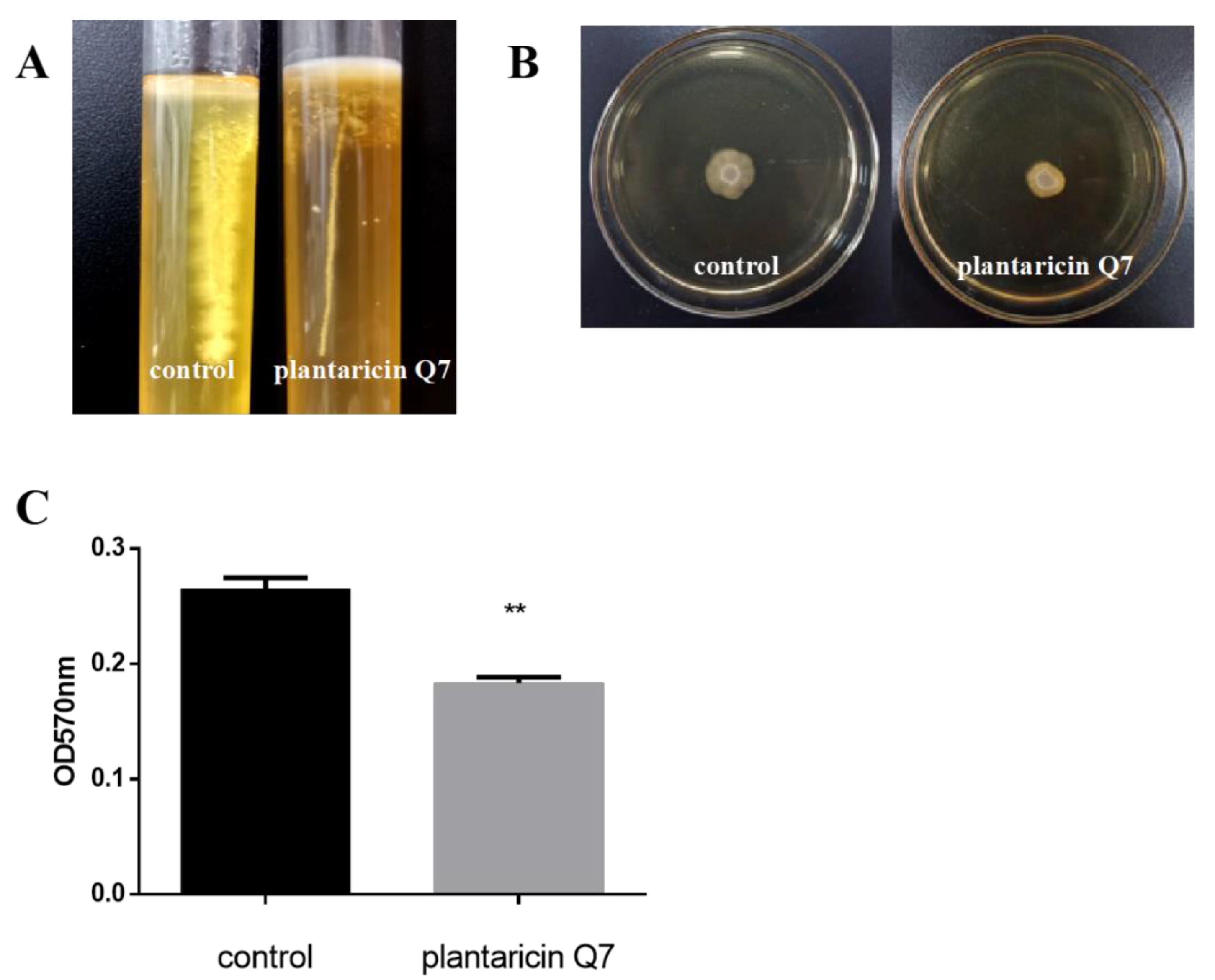 Fermentation 08 00075 g005