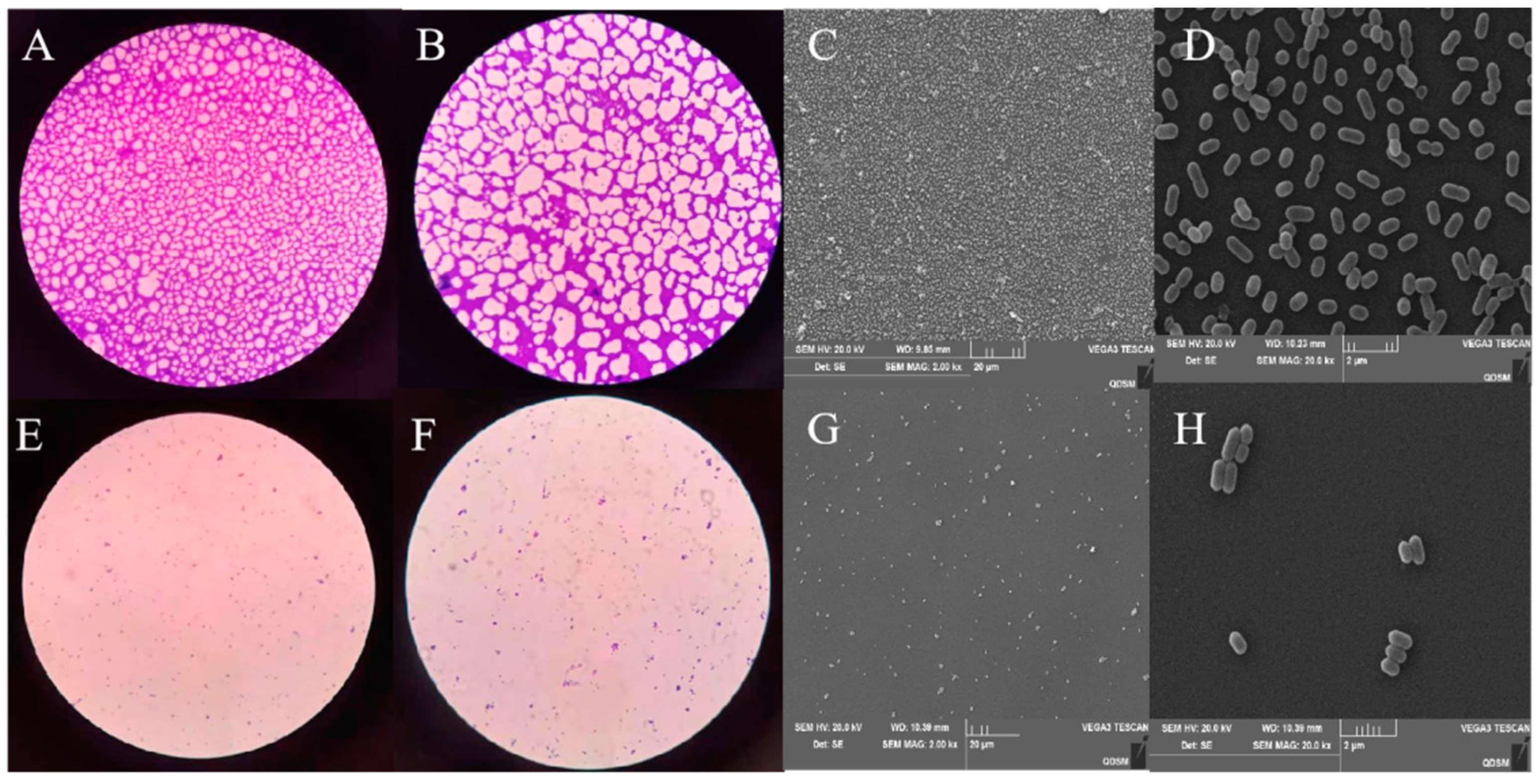 Fermentation 08 00075 g007