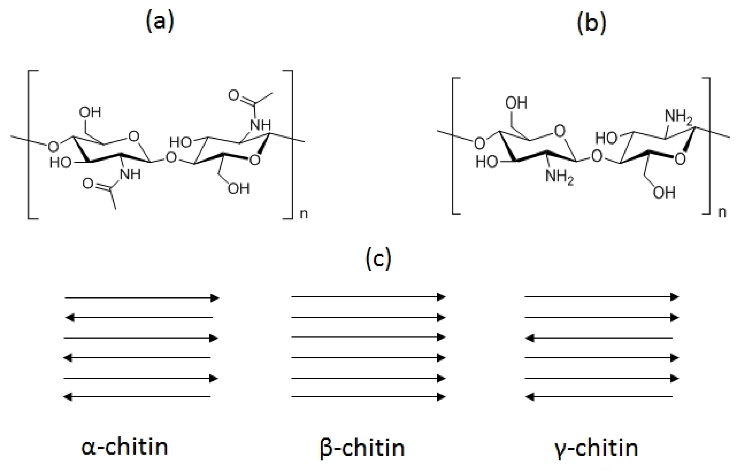 Fermentation 08 00076 g001