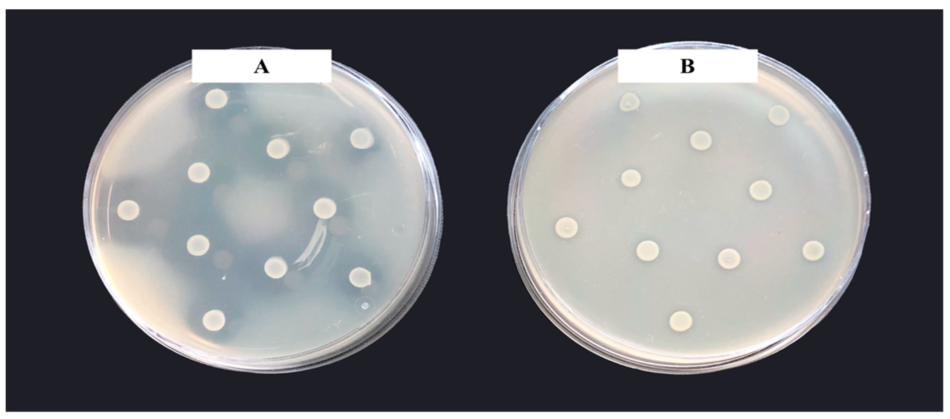 Fermentation 08 00077 g001
