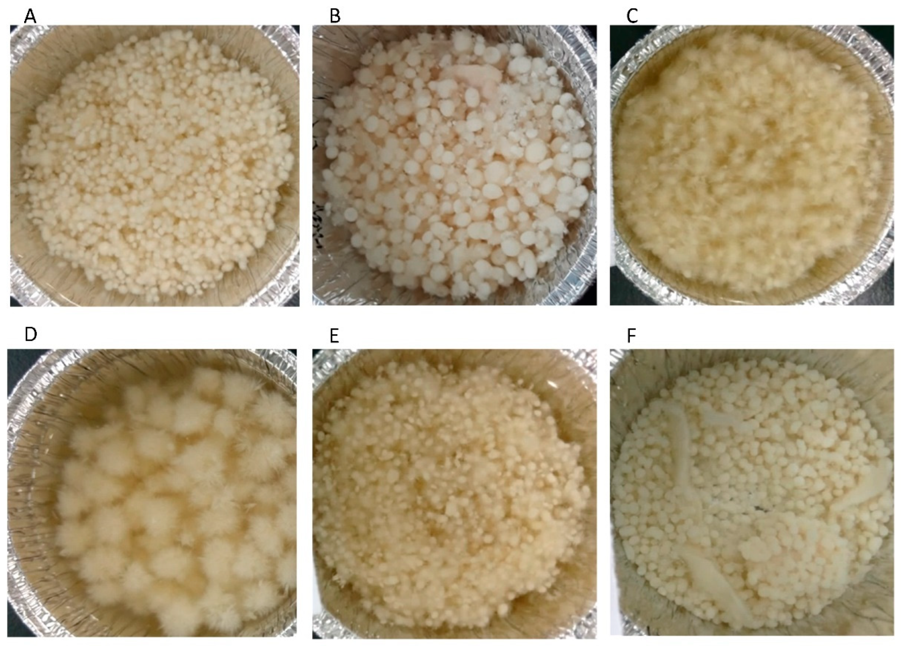 Fermentation 08 00081 g003