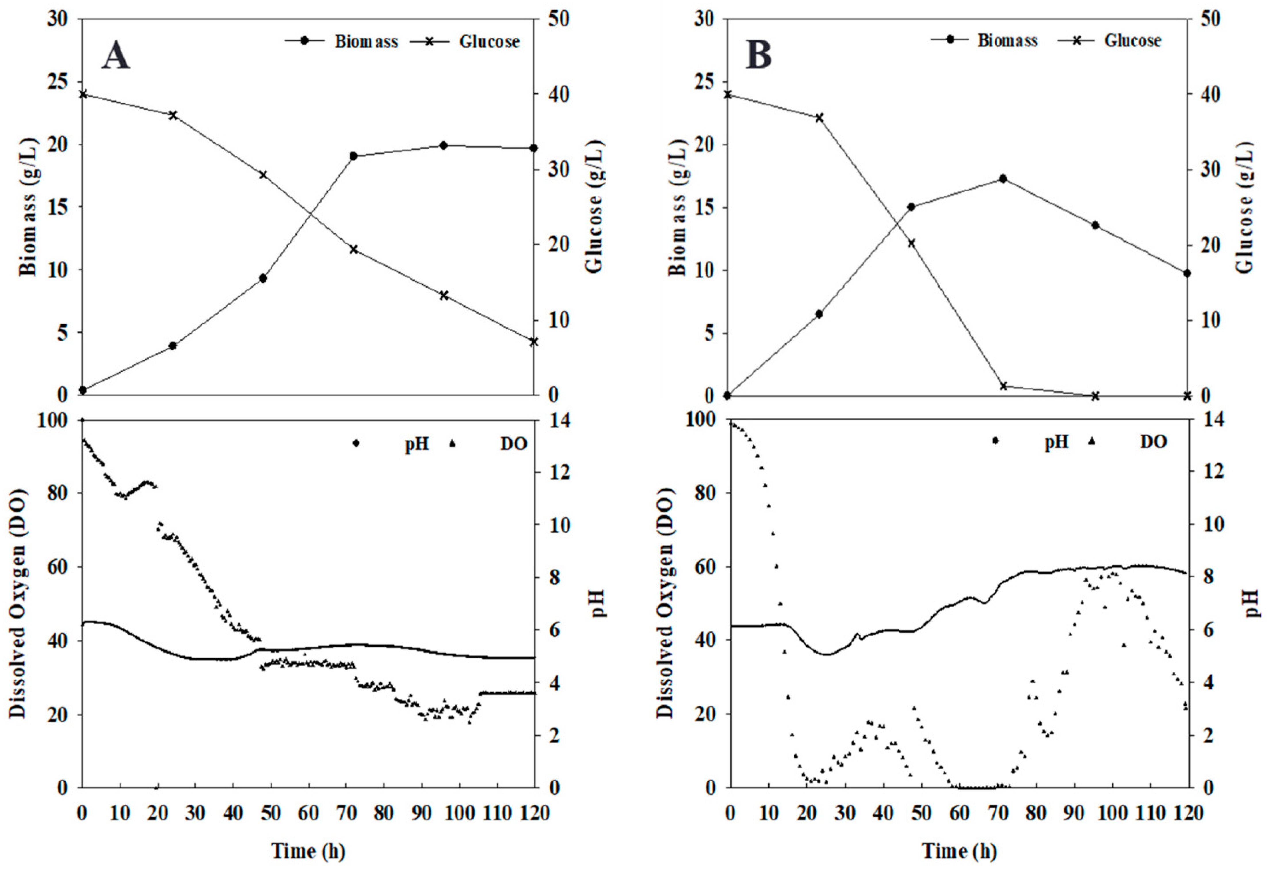 Fermentation 08 00081 g005
