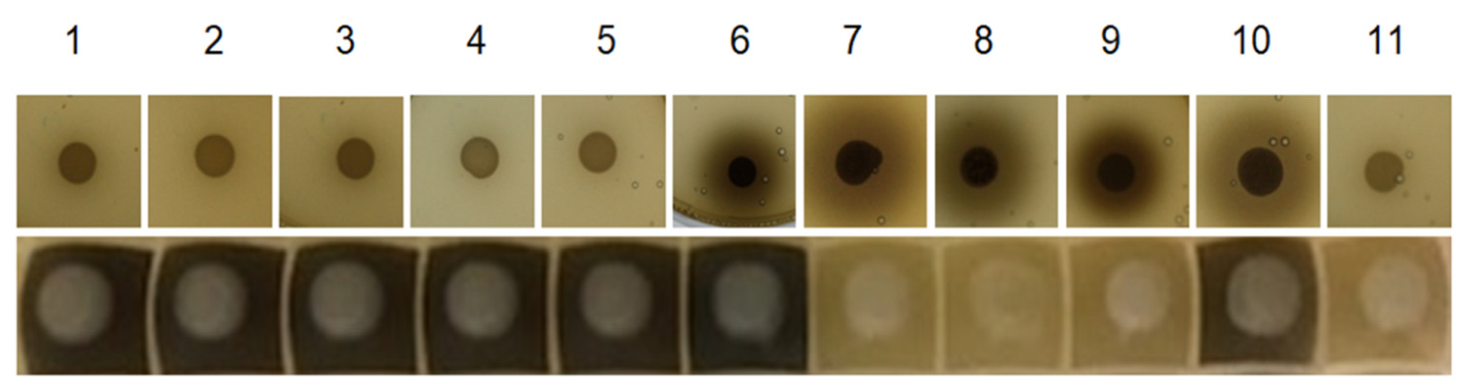 Fermentation 08 00083 g002