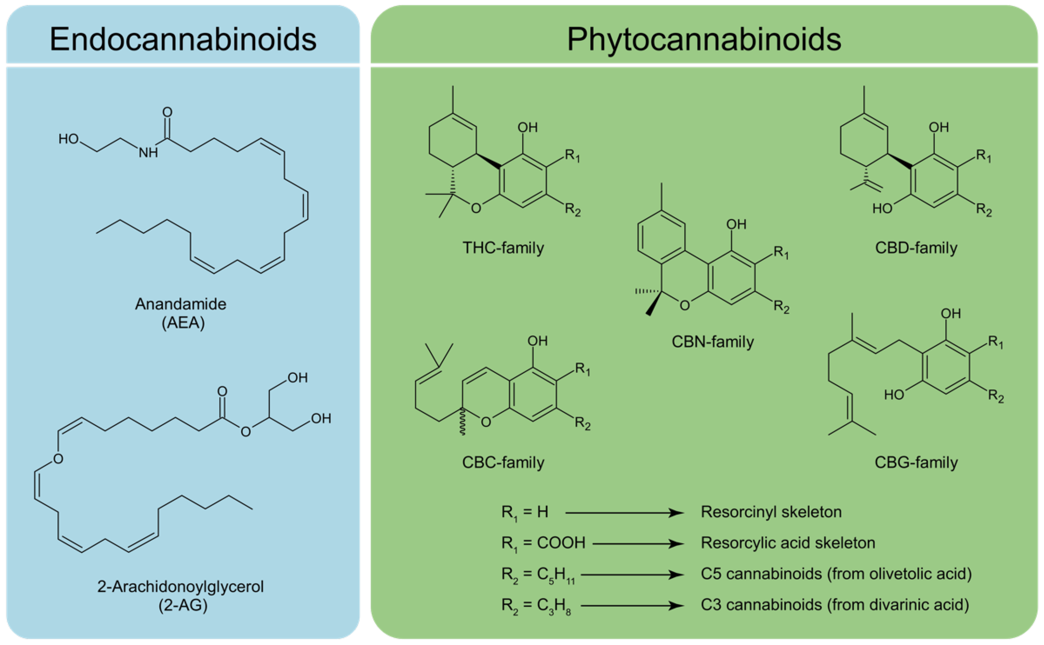 Fermentation 08 00084 g001