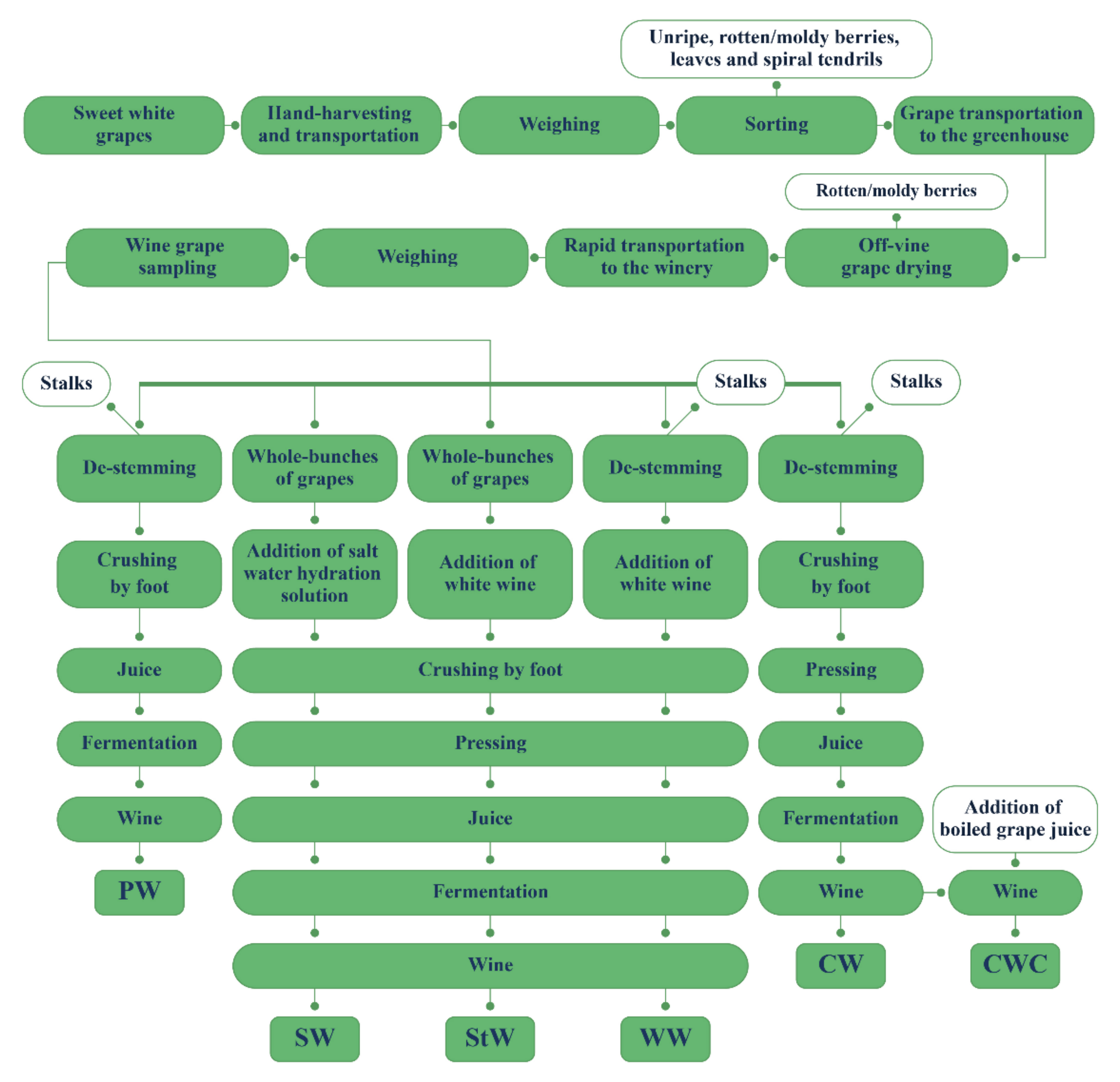 Fermentation 08 00085 g001