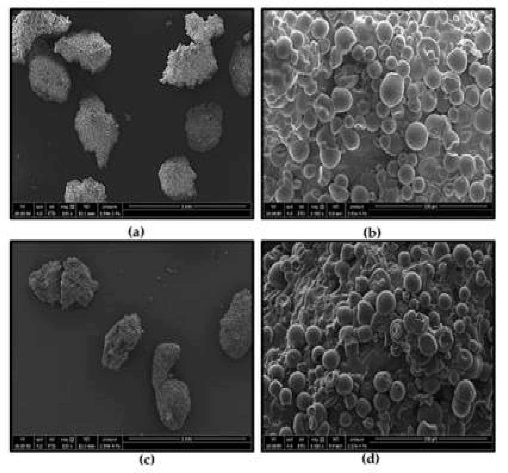 Fermentation 08 00089 g003