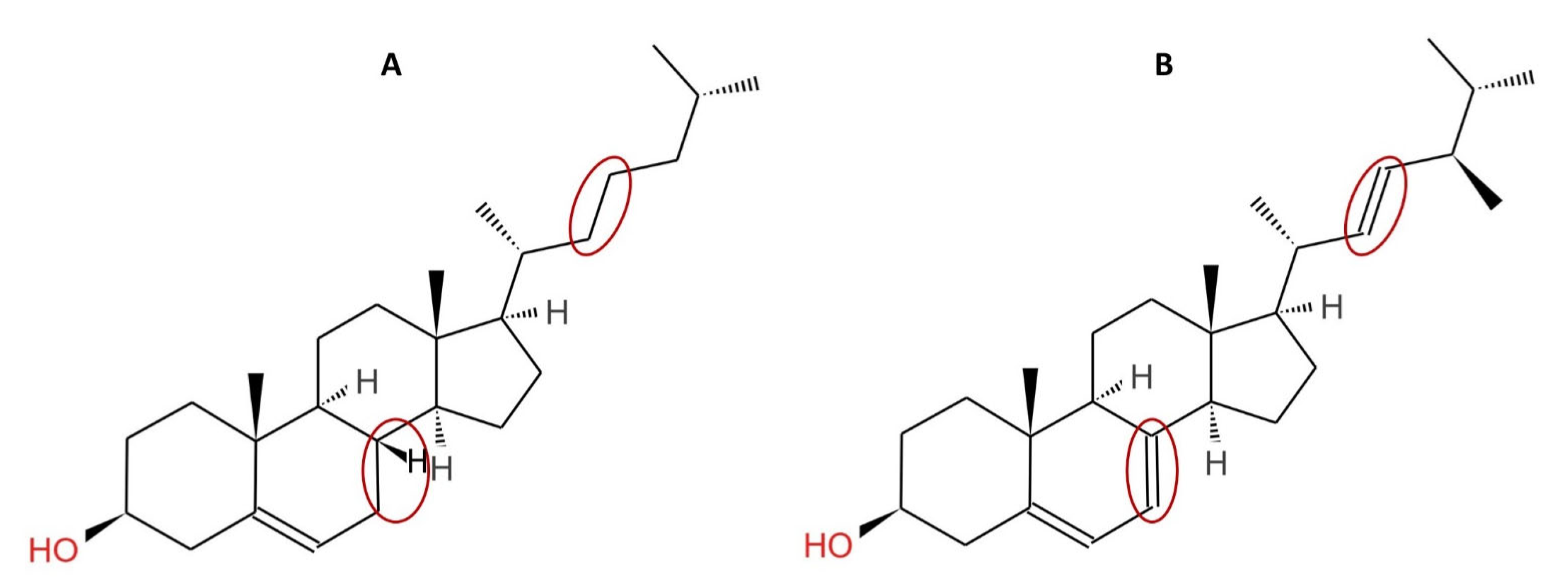 Fermentation 08 00090 g001