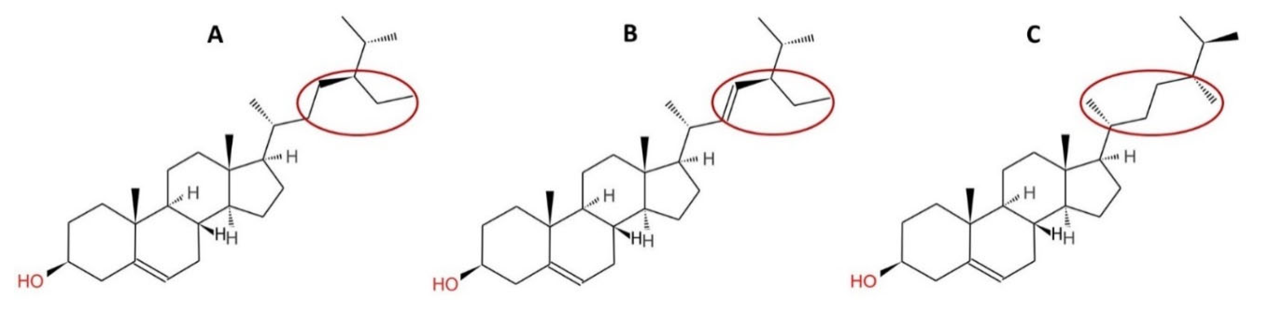 Fermentation 08 00090 g002