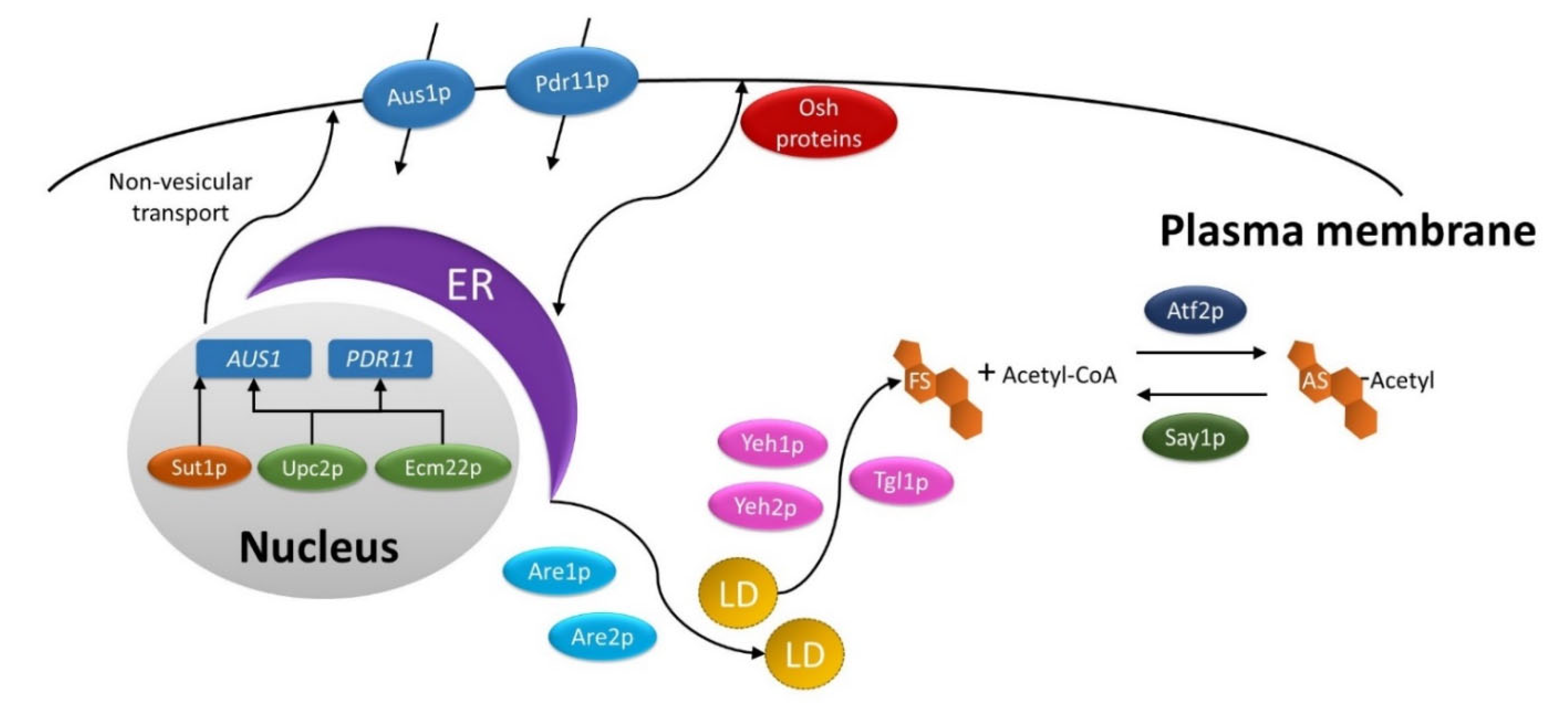 Fermentation 08 00090 g005