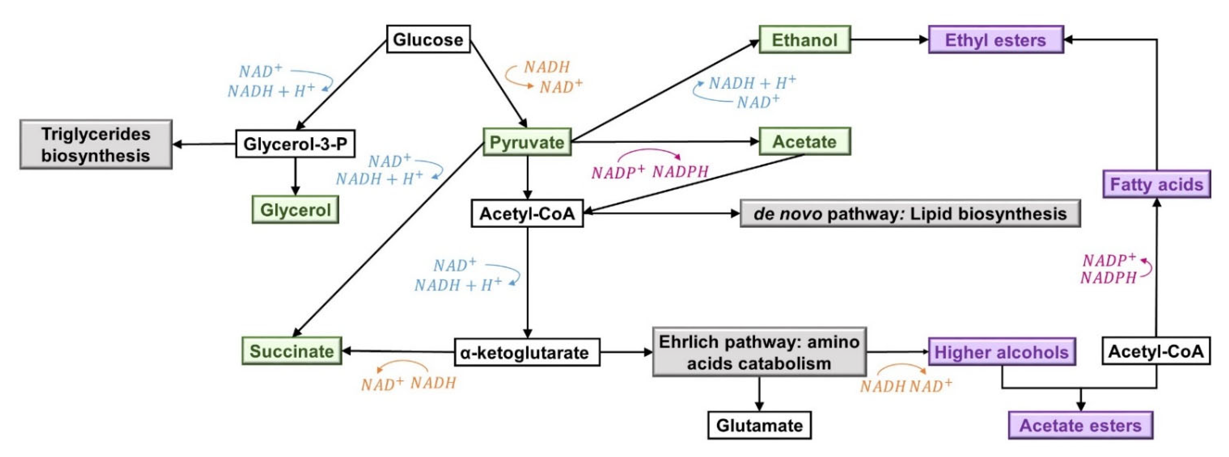 Fermentation 08 00090 g006