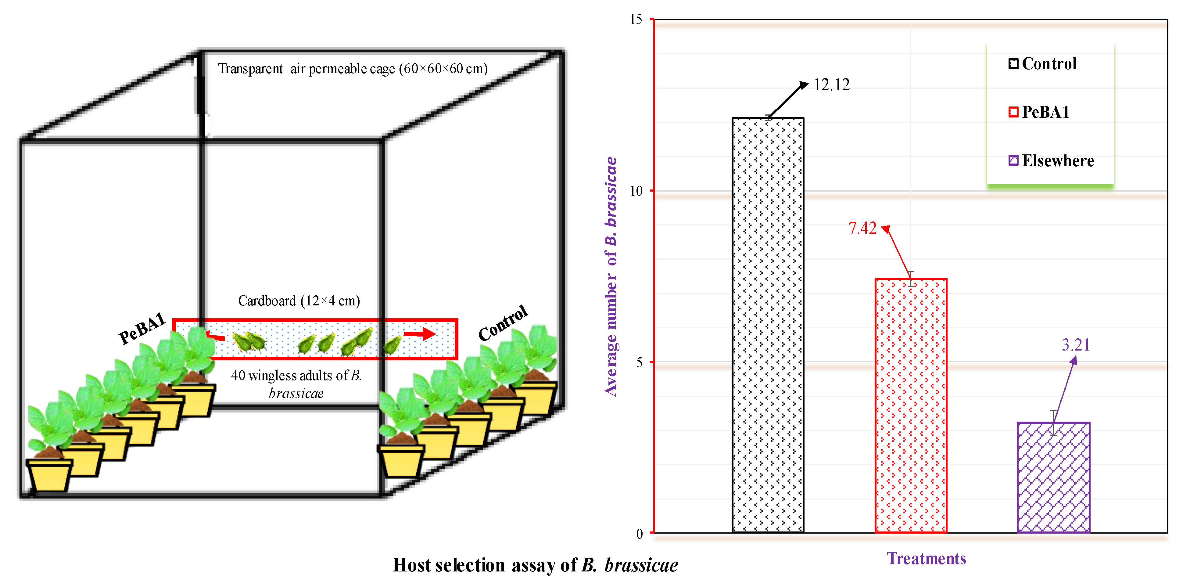 Fermentation 08 00095 g002