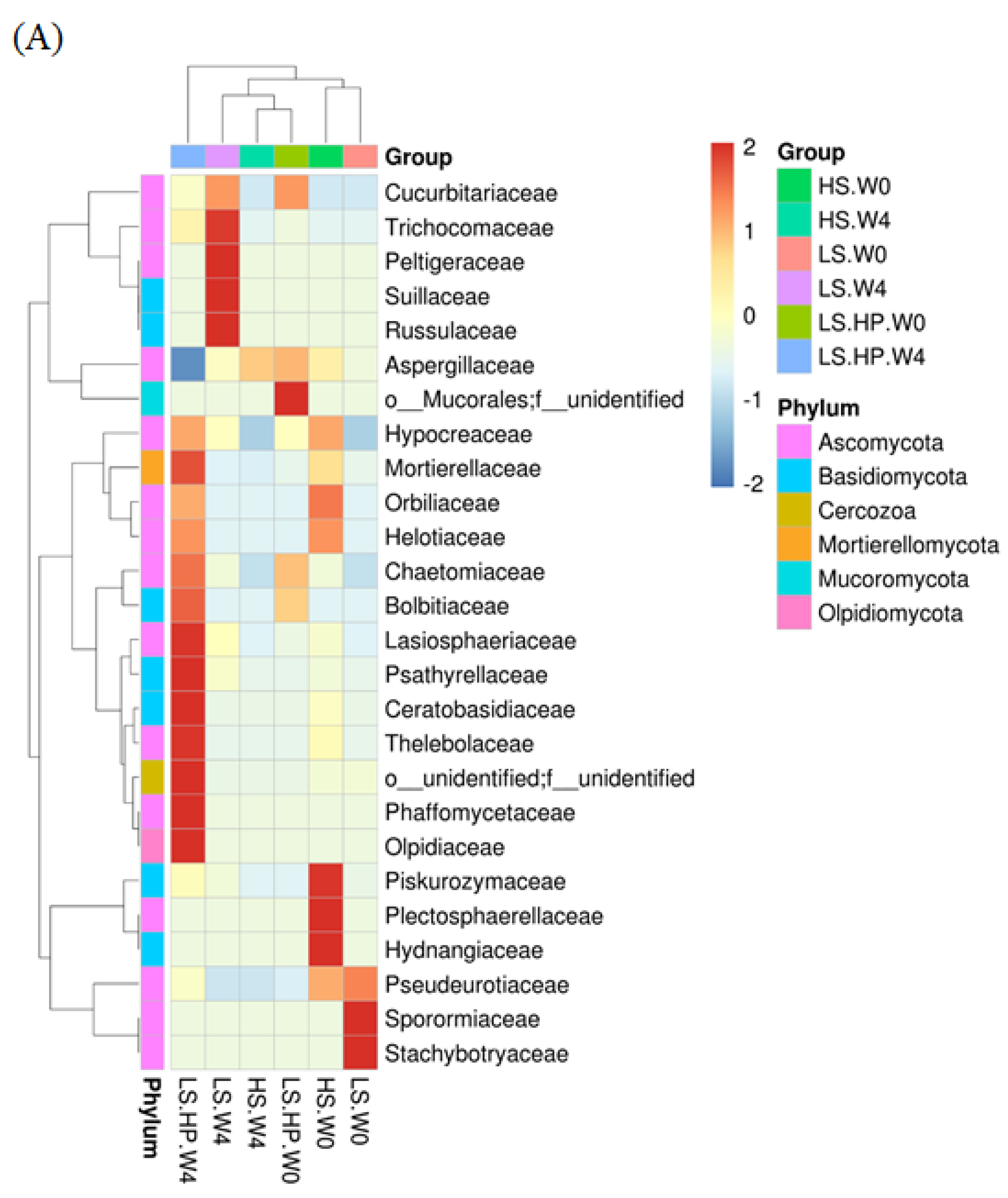 Fermentation 08 00097 g006a