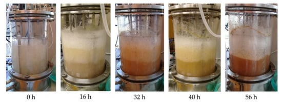 Fermentation 08 00102 g0a10