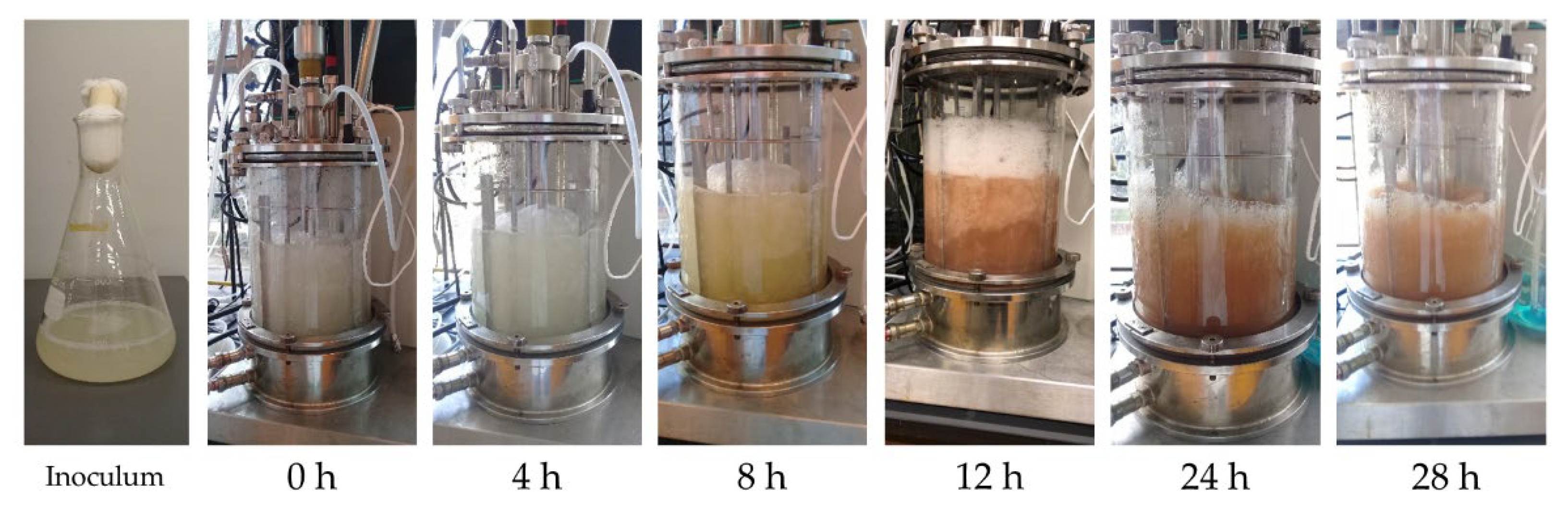 Fermentation 08 00102 g0a8