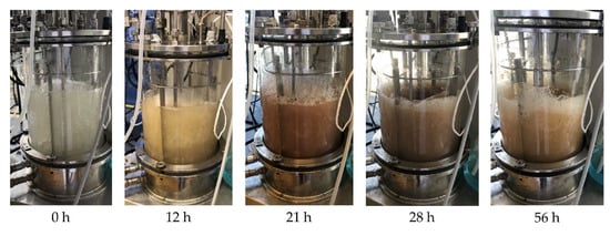 Fermentation 08 00102 g0a9