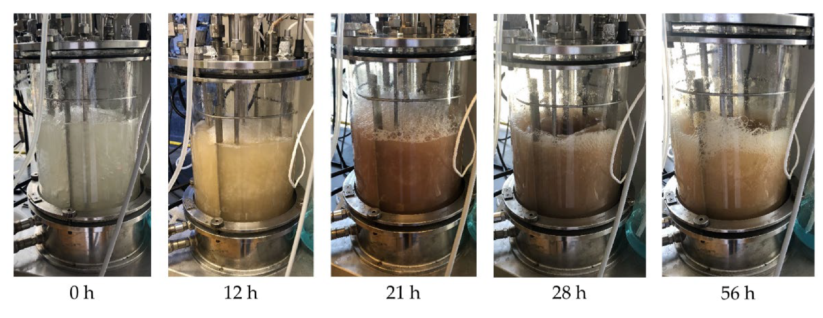 Fermentation 08 00102 g0a9