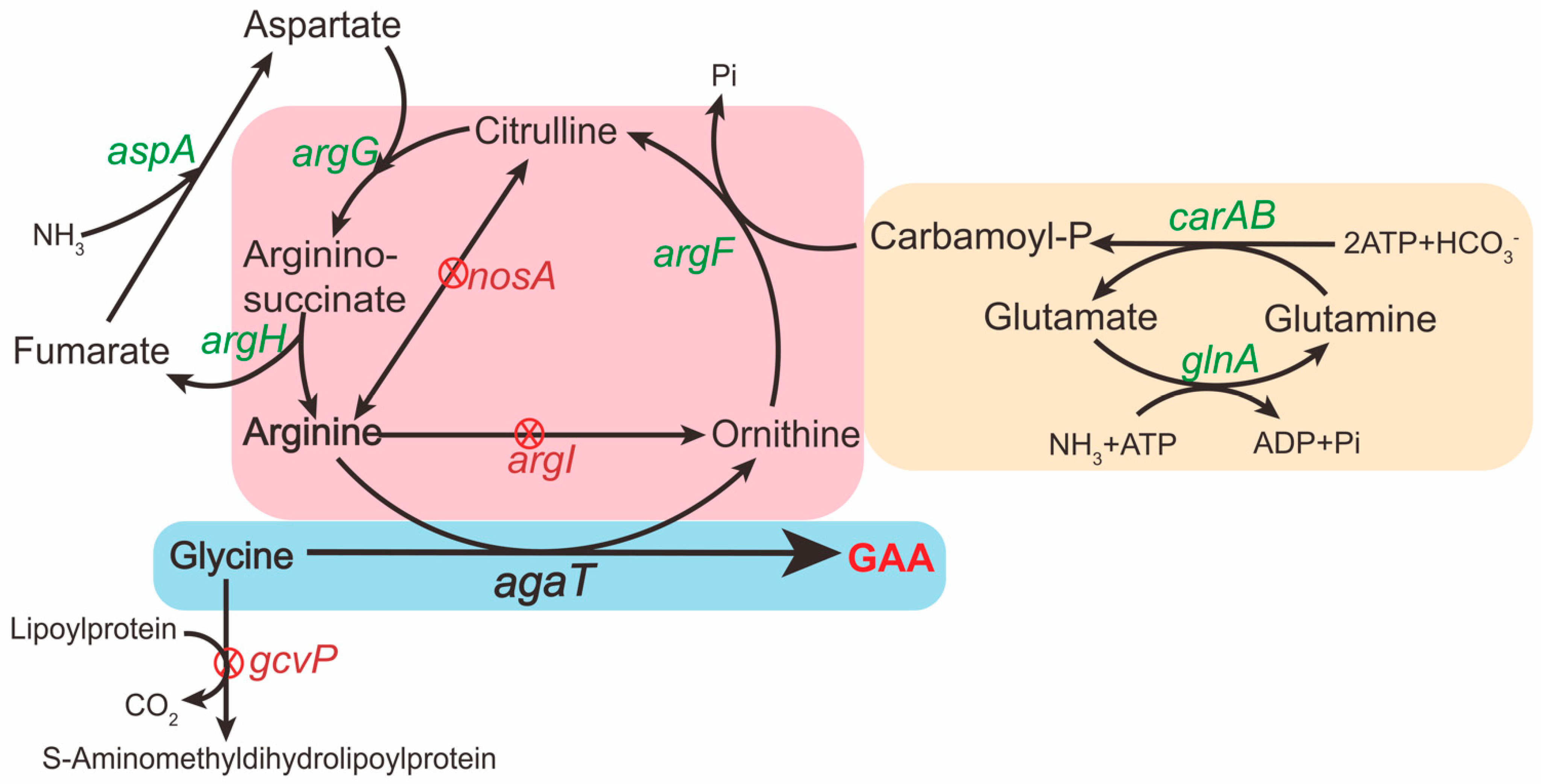 Fermentation 08 00116 g001