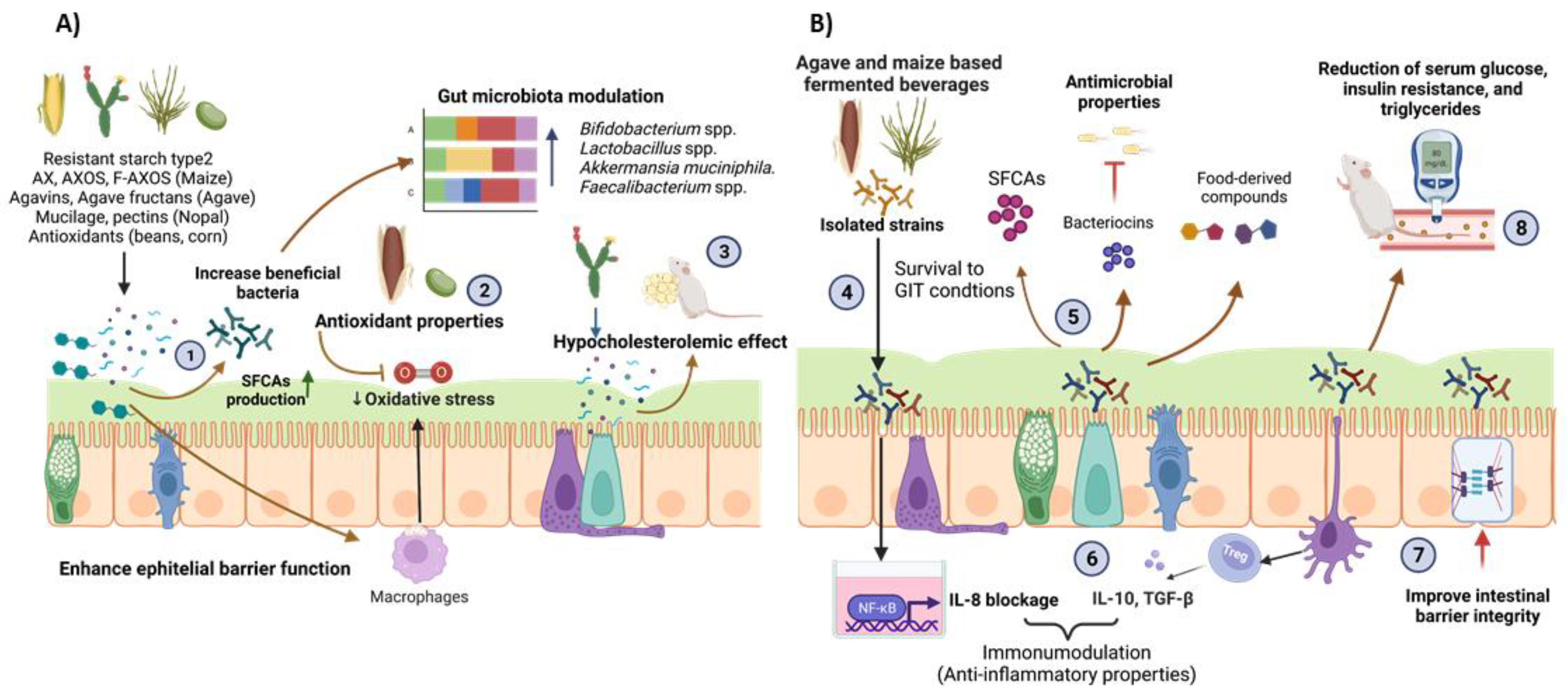 Fermentation 08 00123 g001