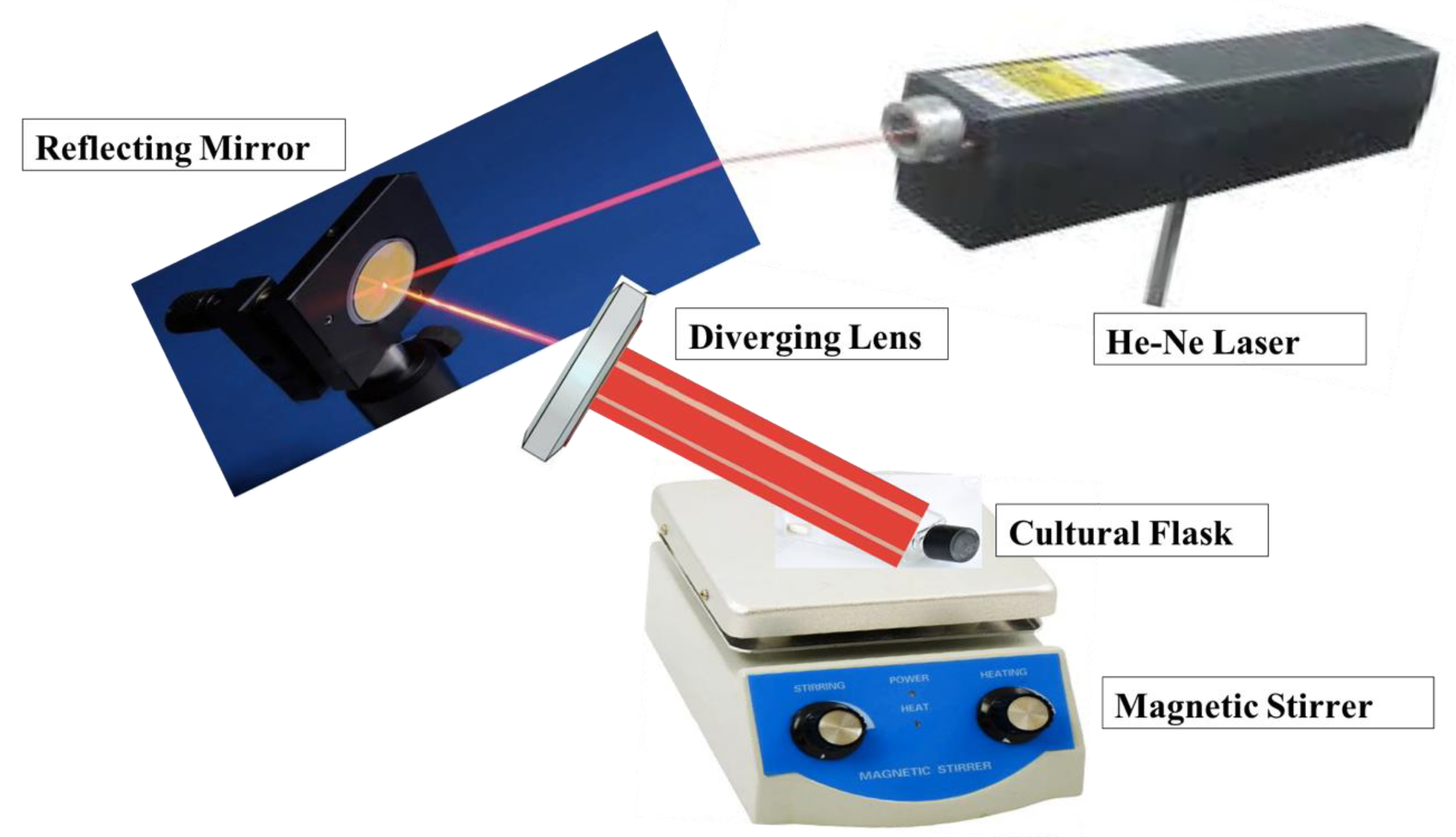 Fermentation 08 00132 g001