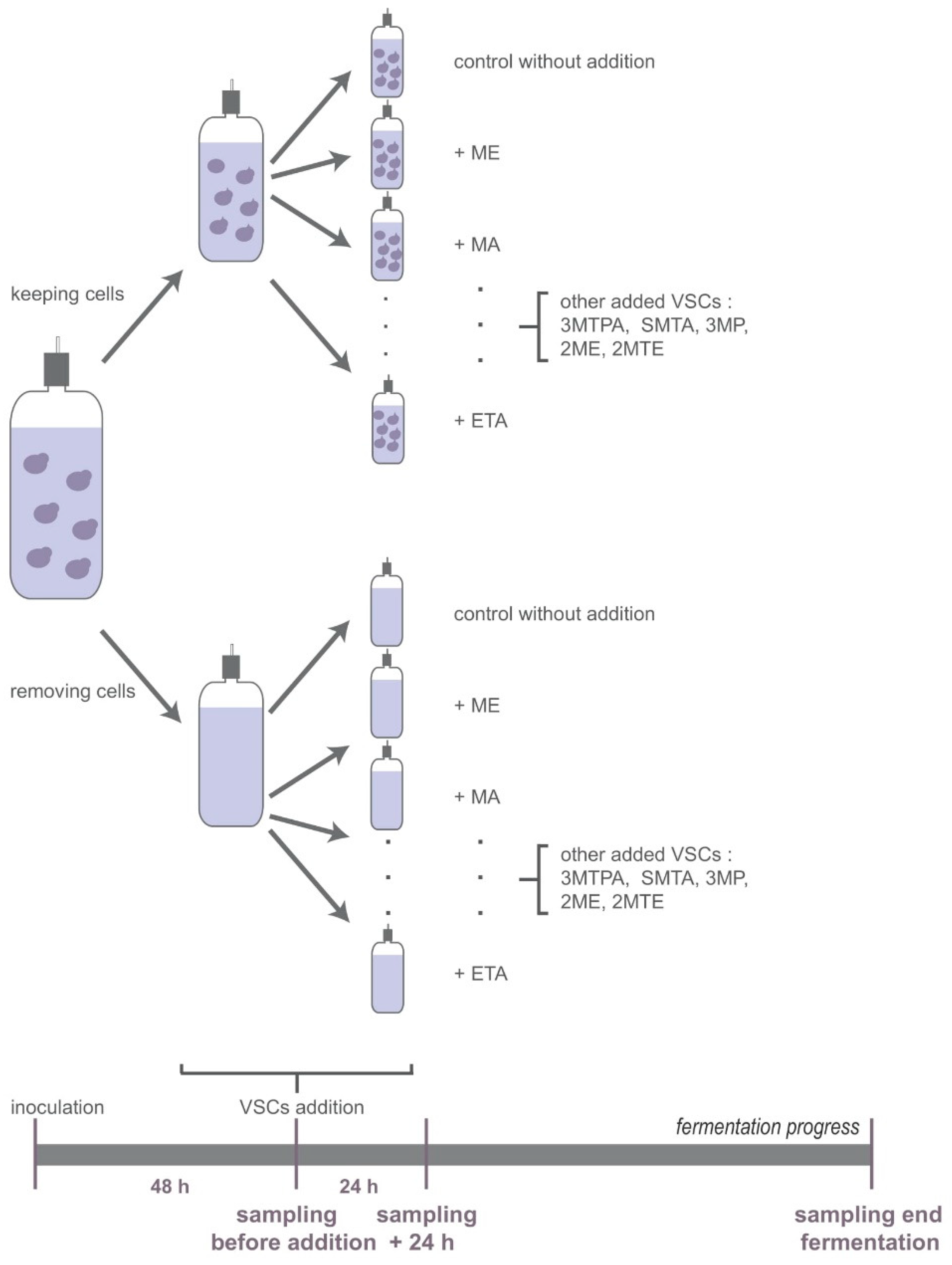 Fermentation 08 00139 g001