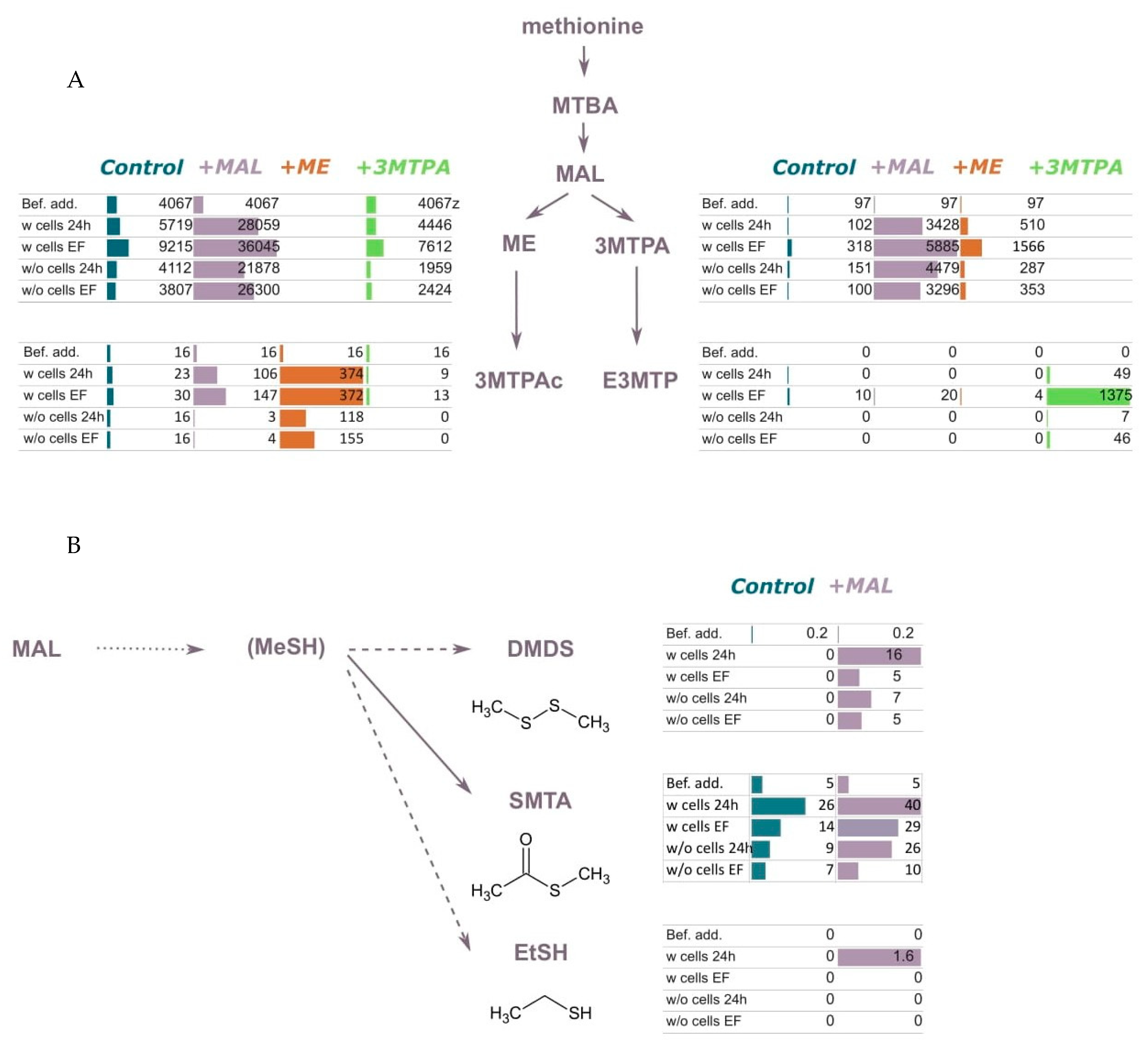 Fermentation 08 00139 g003