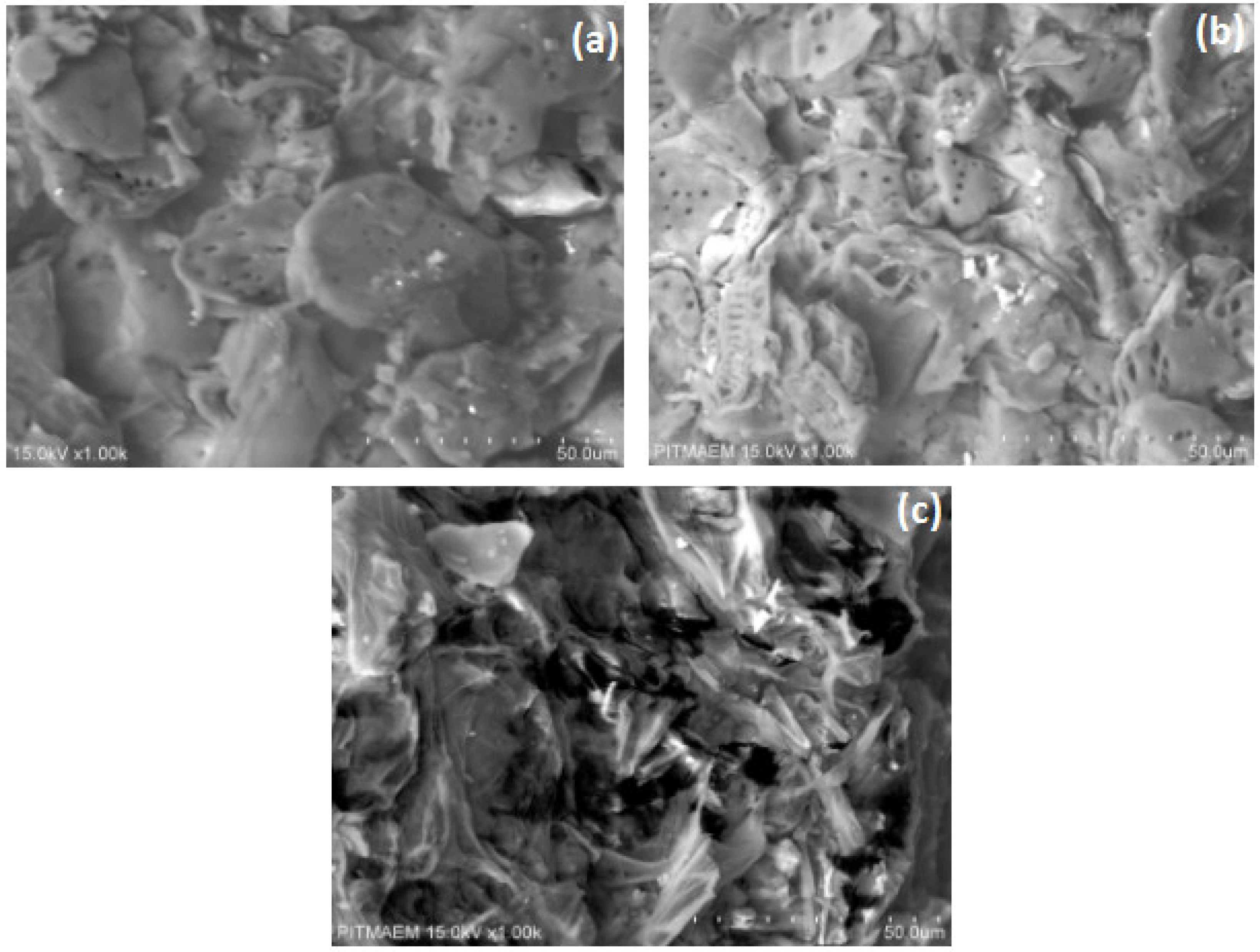 Fermentation 08 00148 g001