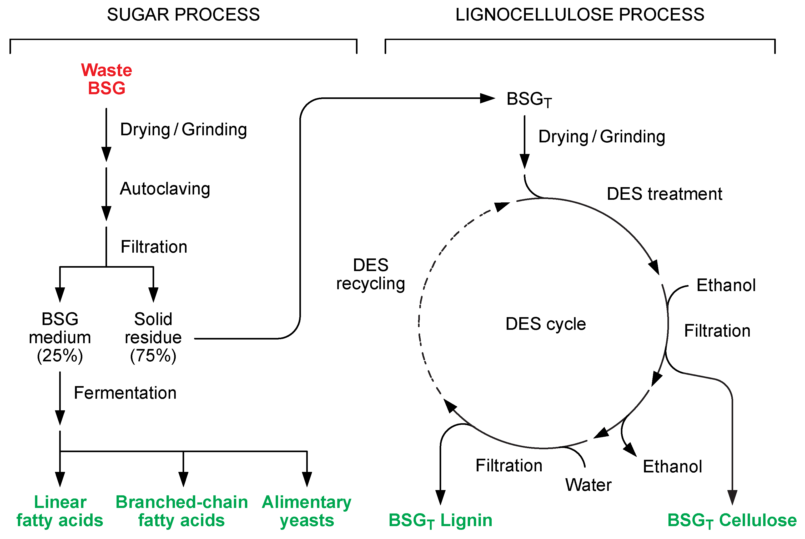 Fermentation 08 00151 g002